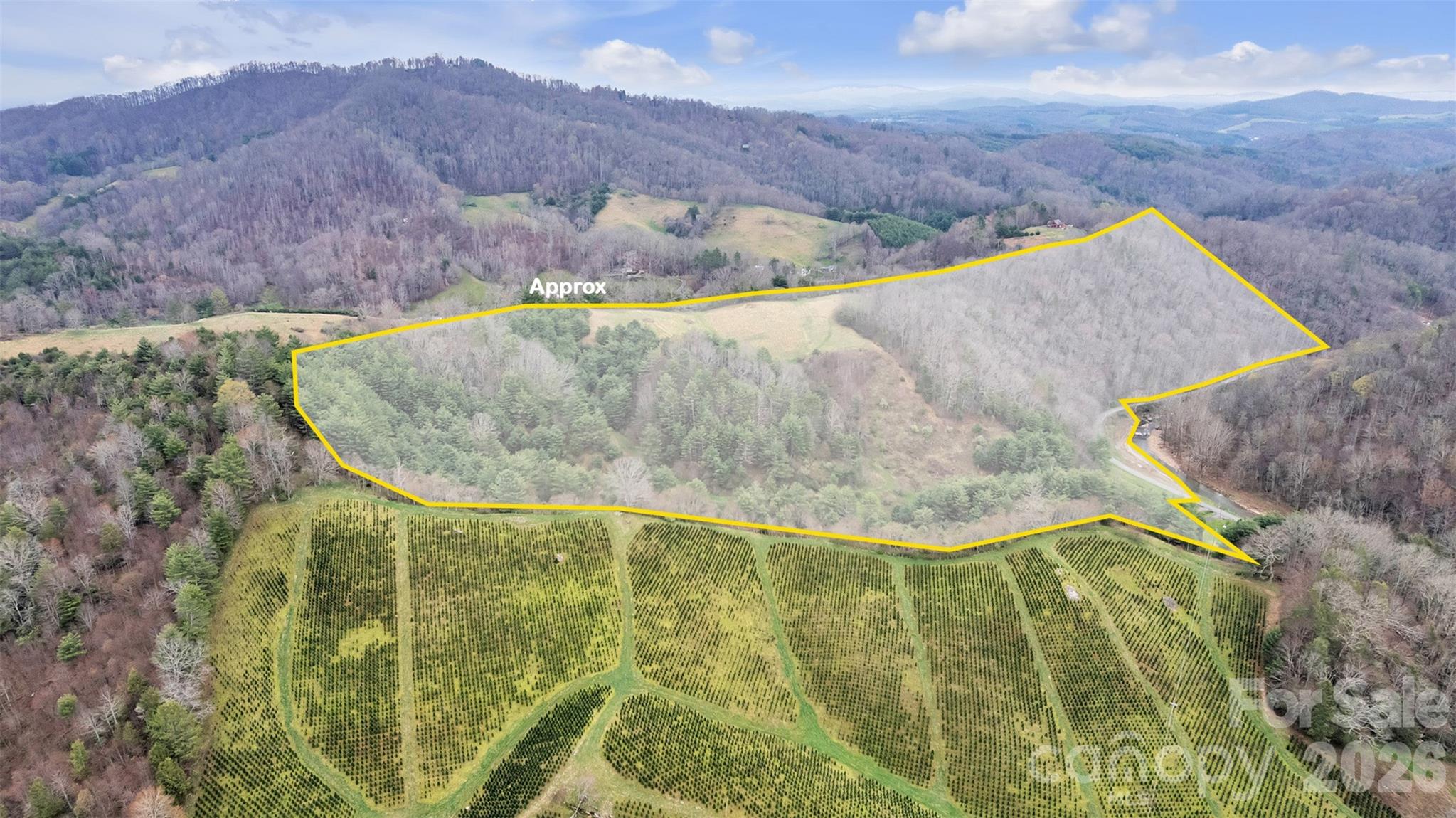 Tbd Big Helton Road Property Photo 5