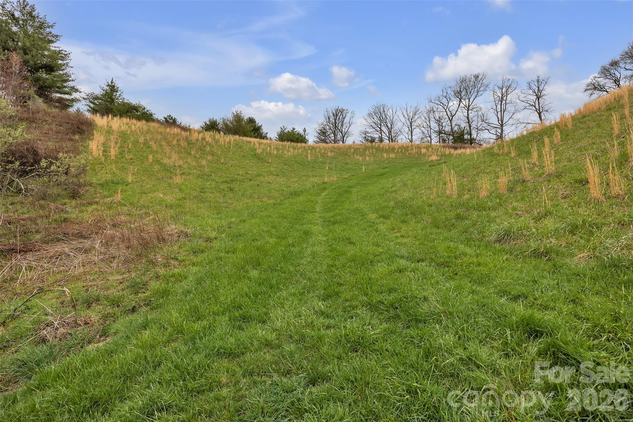 Tbd Big Helton Road Property Photo 6
