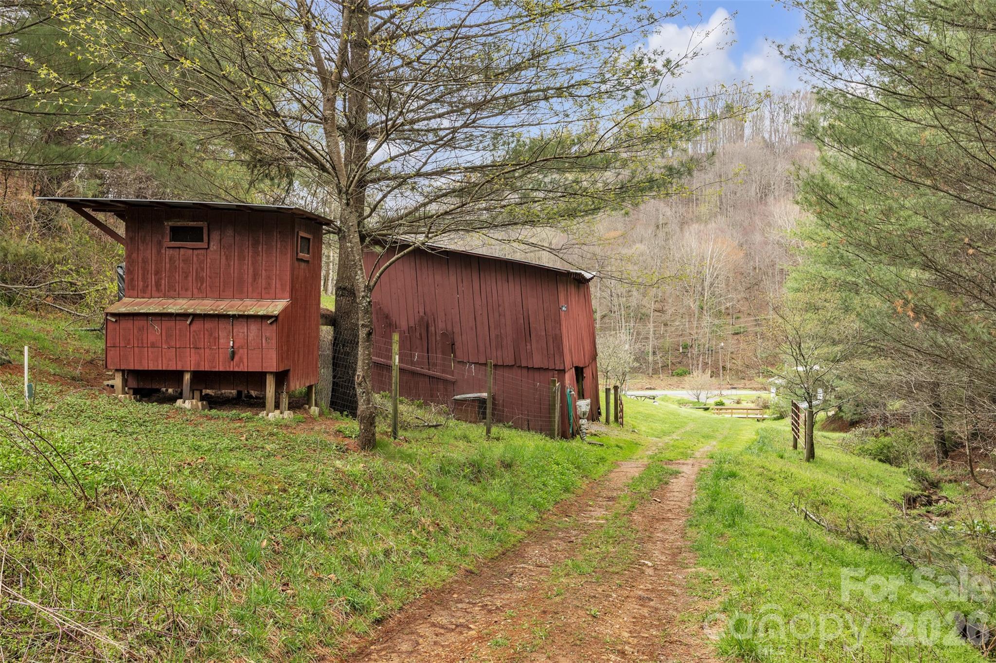 Tbd Big Helton Road Property Photo 7