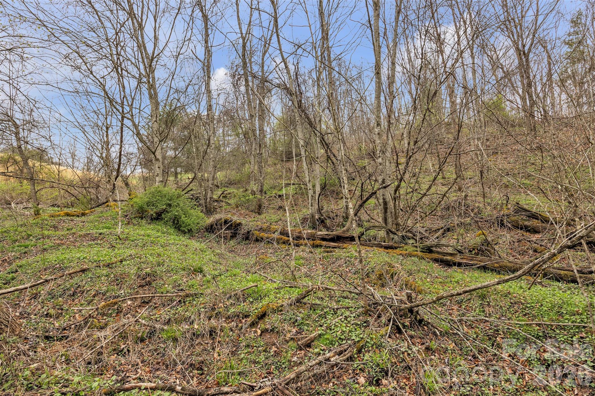 Tbd Big Helton Road Property Photo 8