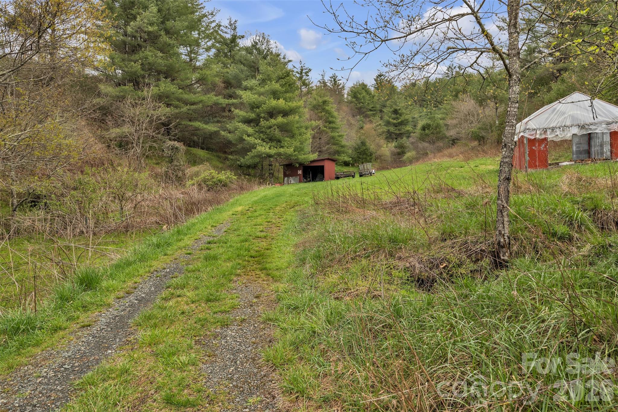 Tbd Big Helton Road Property Photo 9