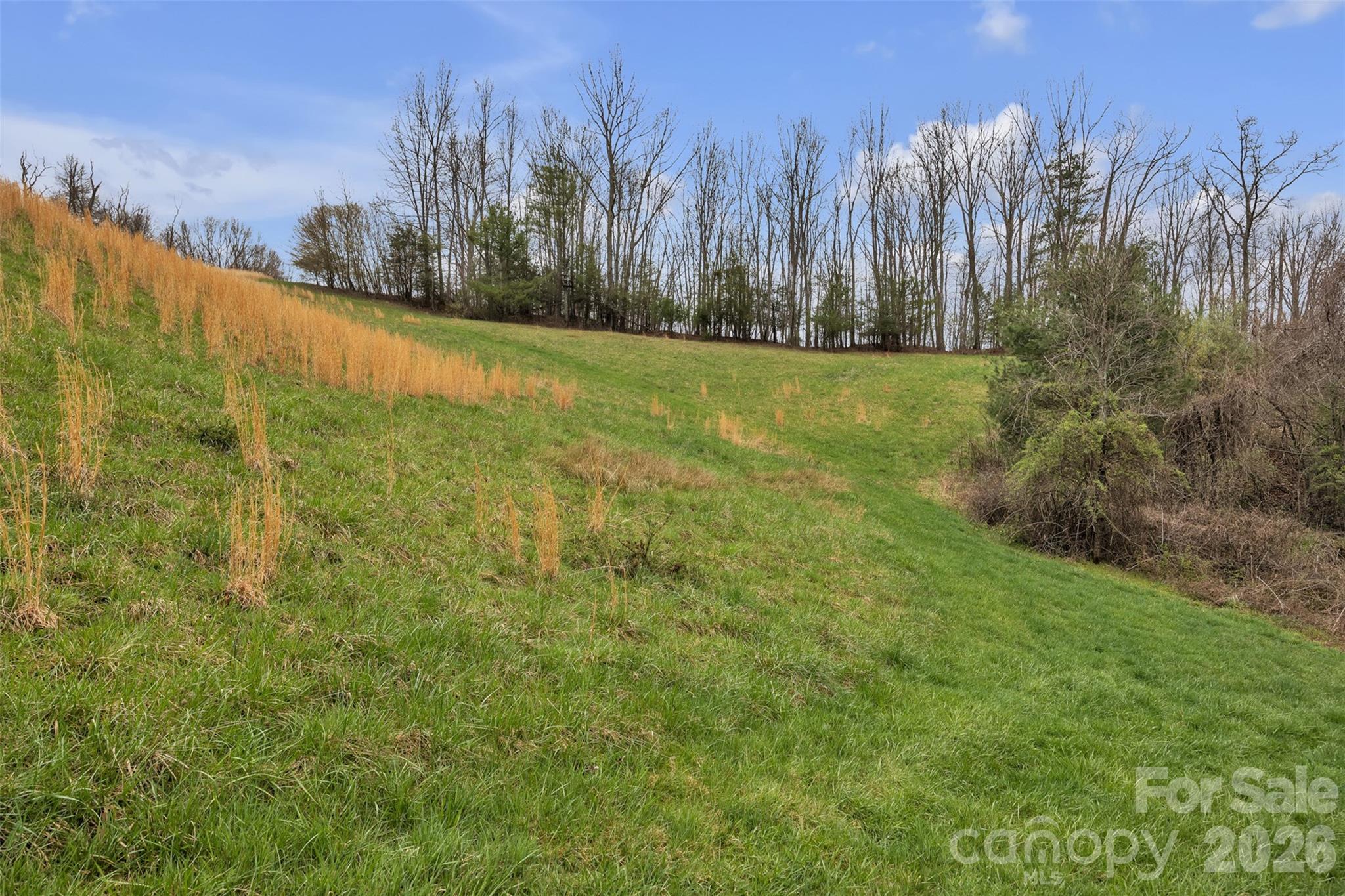 Tbd Big Helton Road Property Photo 11