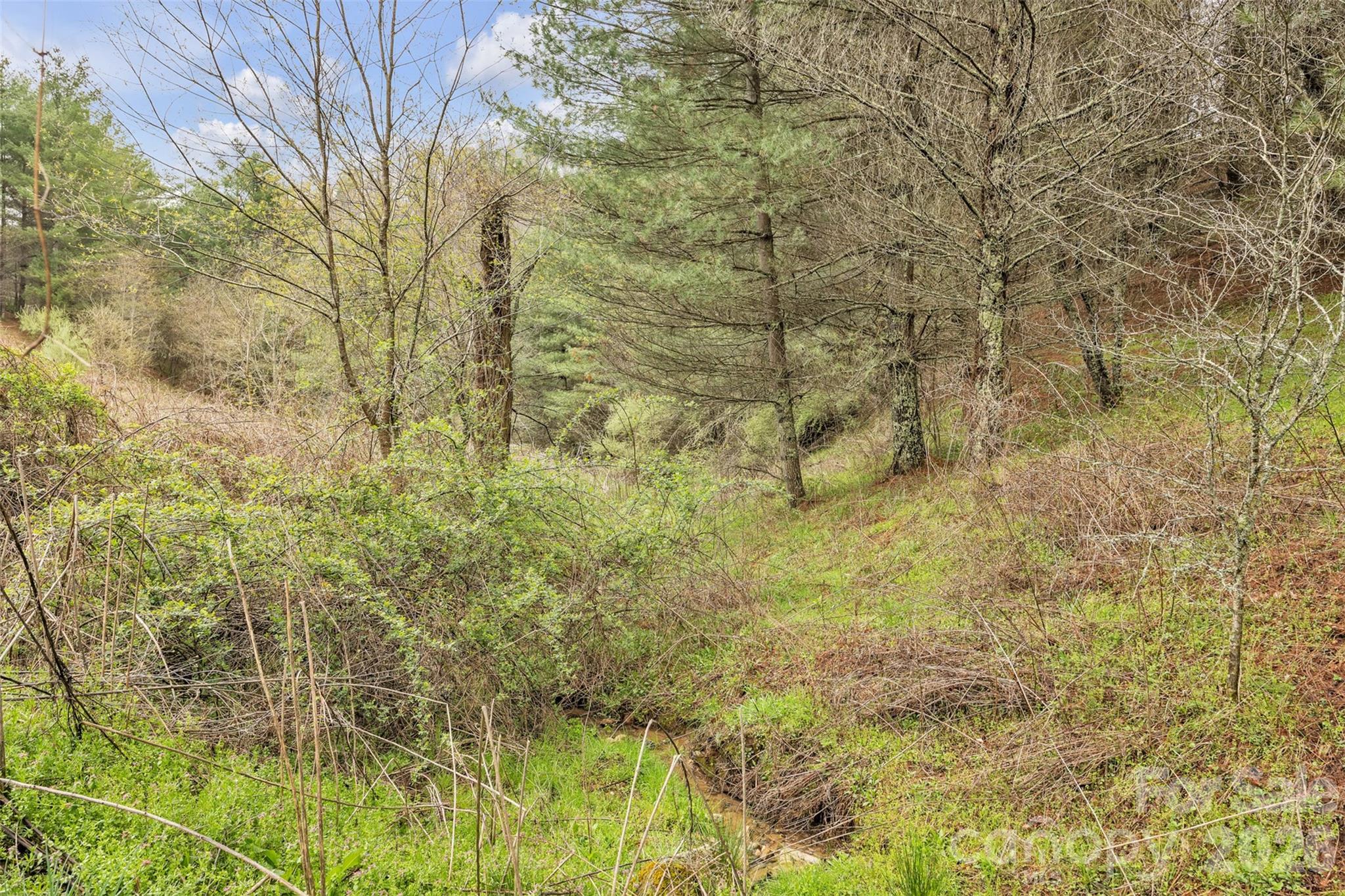 Tbd Big Helton Road Property Photo 12