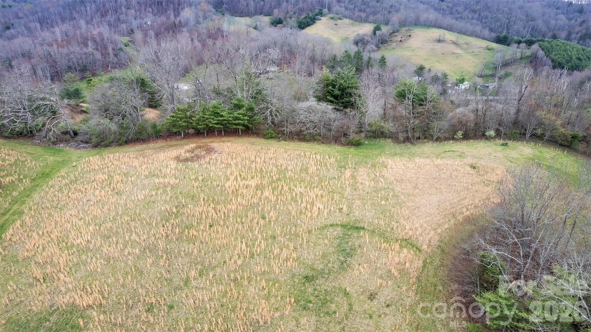 Tbd Big Helton Road Property Photo 13