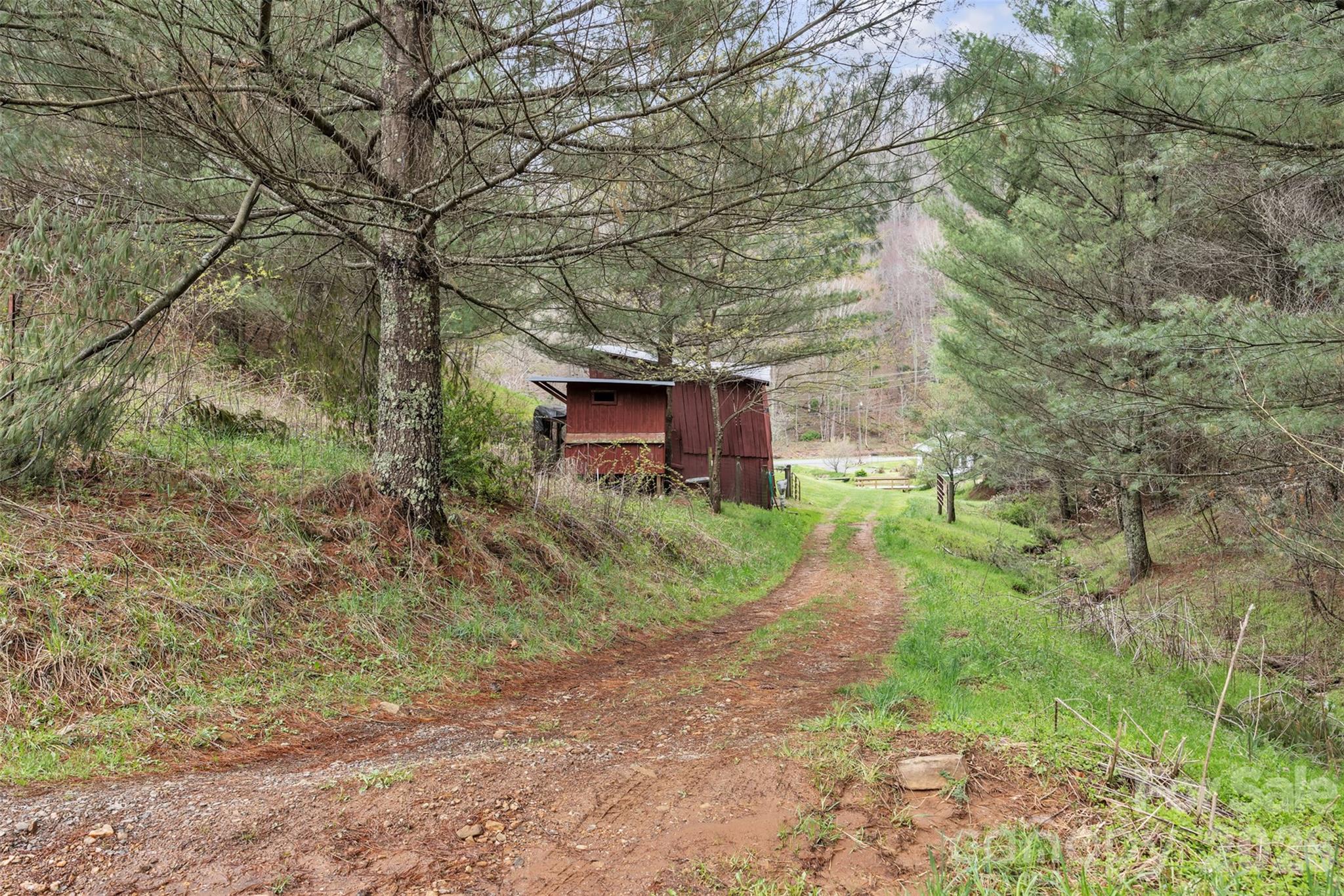 Tbd Big Helton Road Property Photo 15
