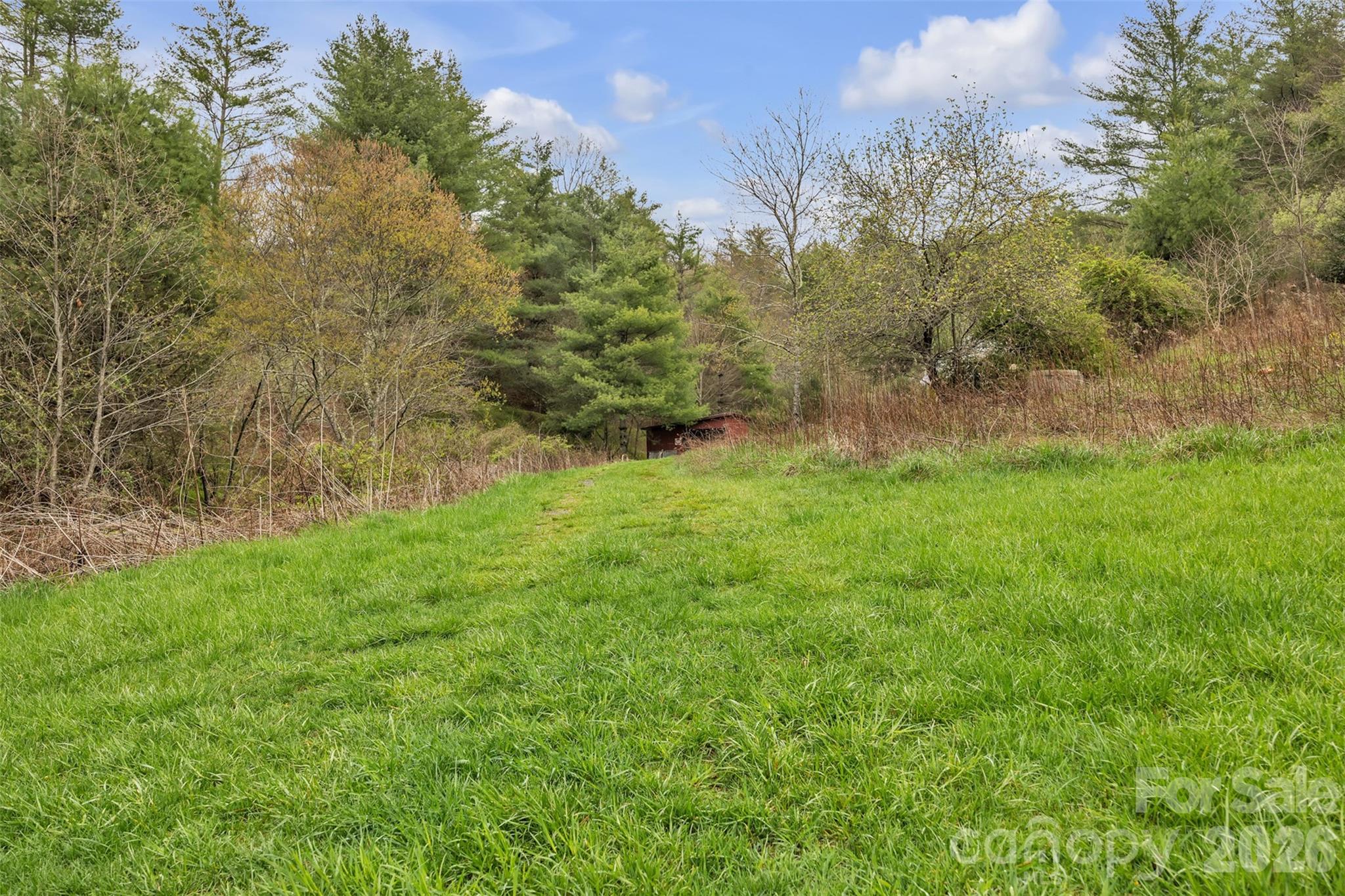 Tbd Big Helton Road Property Photo 16