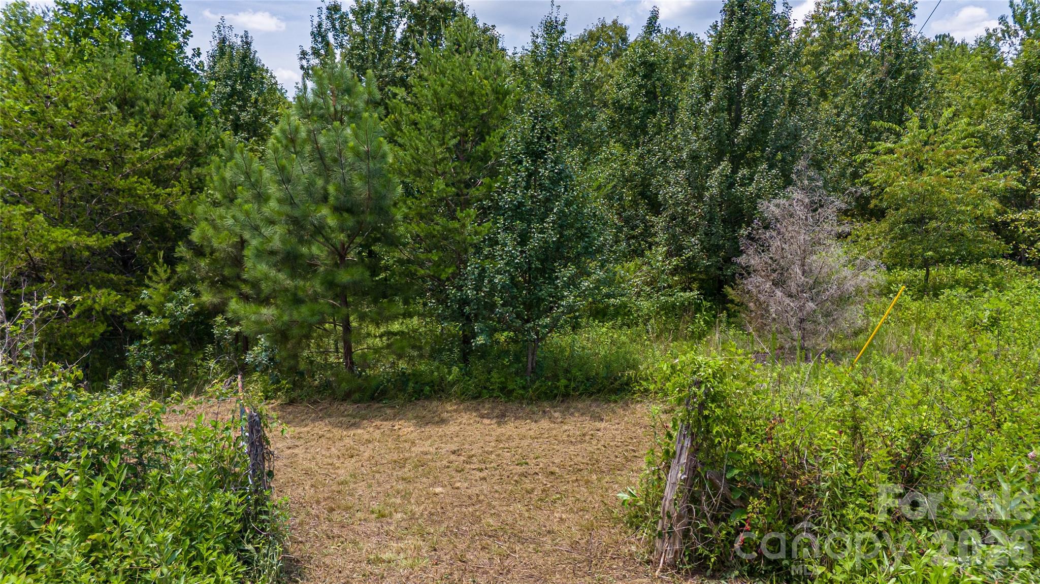 0 Gold Mine Road Property Photo 10