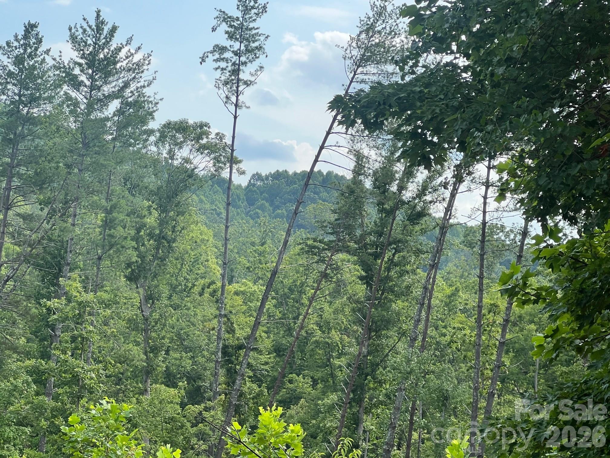0 Gold Mine Road Property Photo 13
