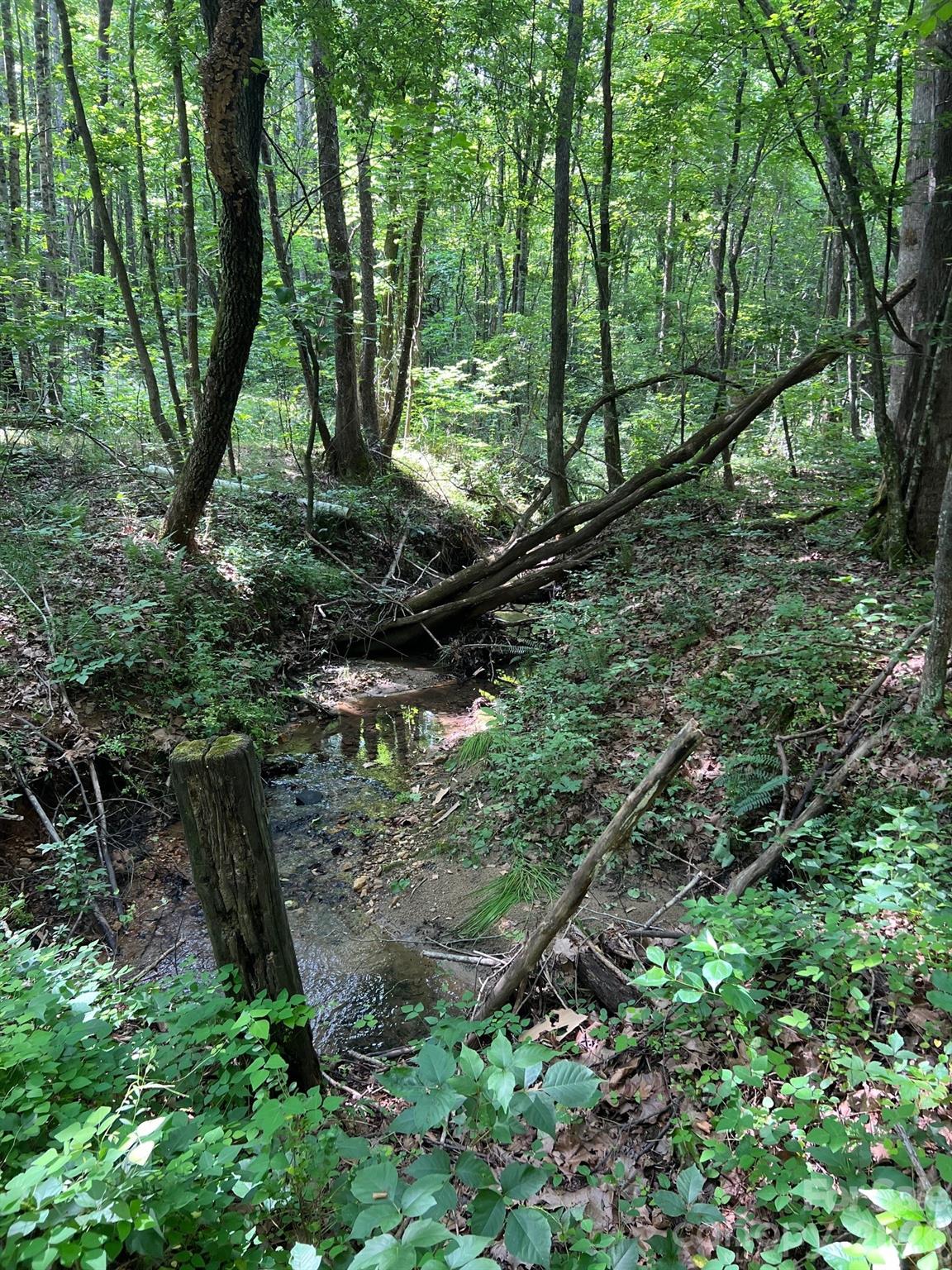 0 Gold Mine Road Property Photo 15
