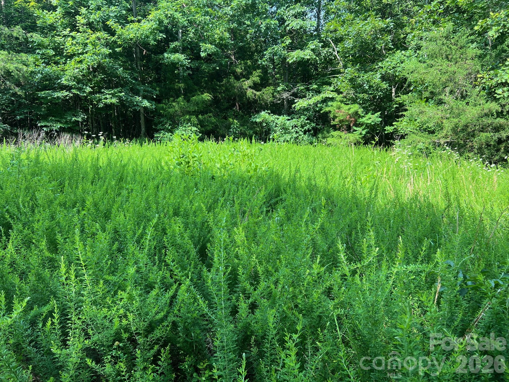 0 Gold Mine Road Property Photo 16