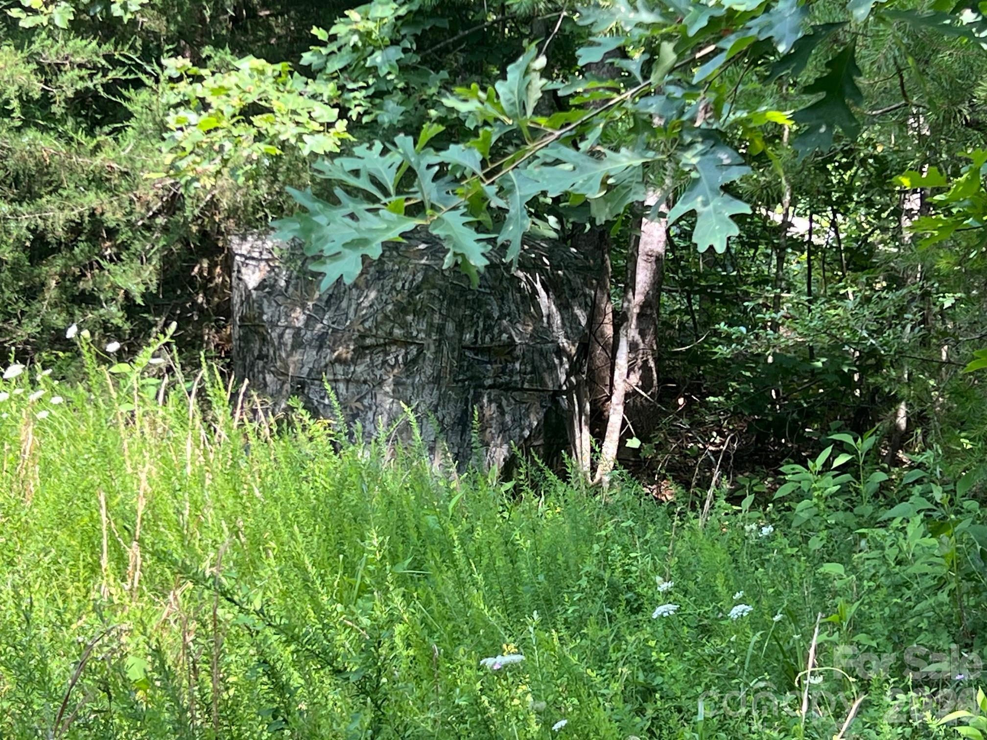 0 Gold Mine Road Property Photo 17
