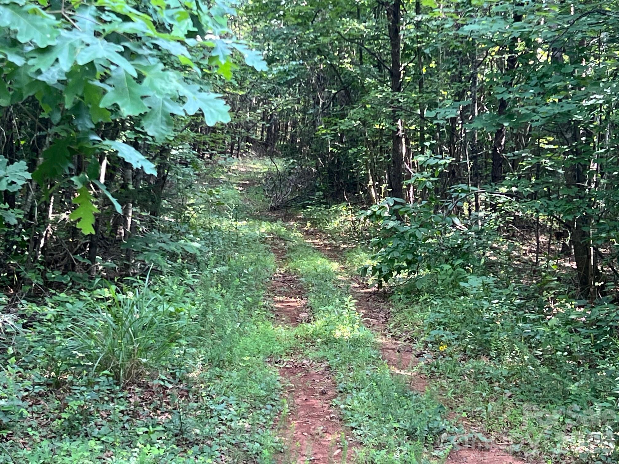 0 Gold Mine Road Property Photo 18