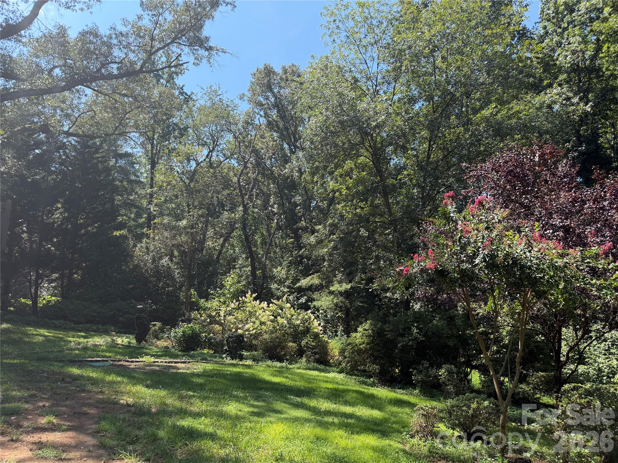 136 Mimosa Hills Drive Property Photo 25