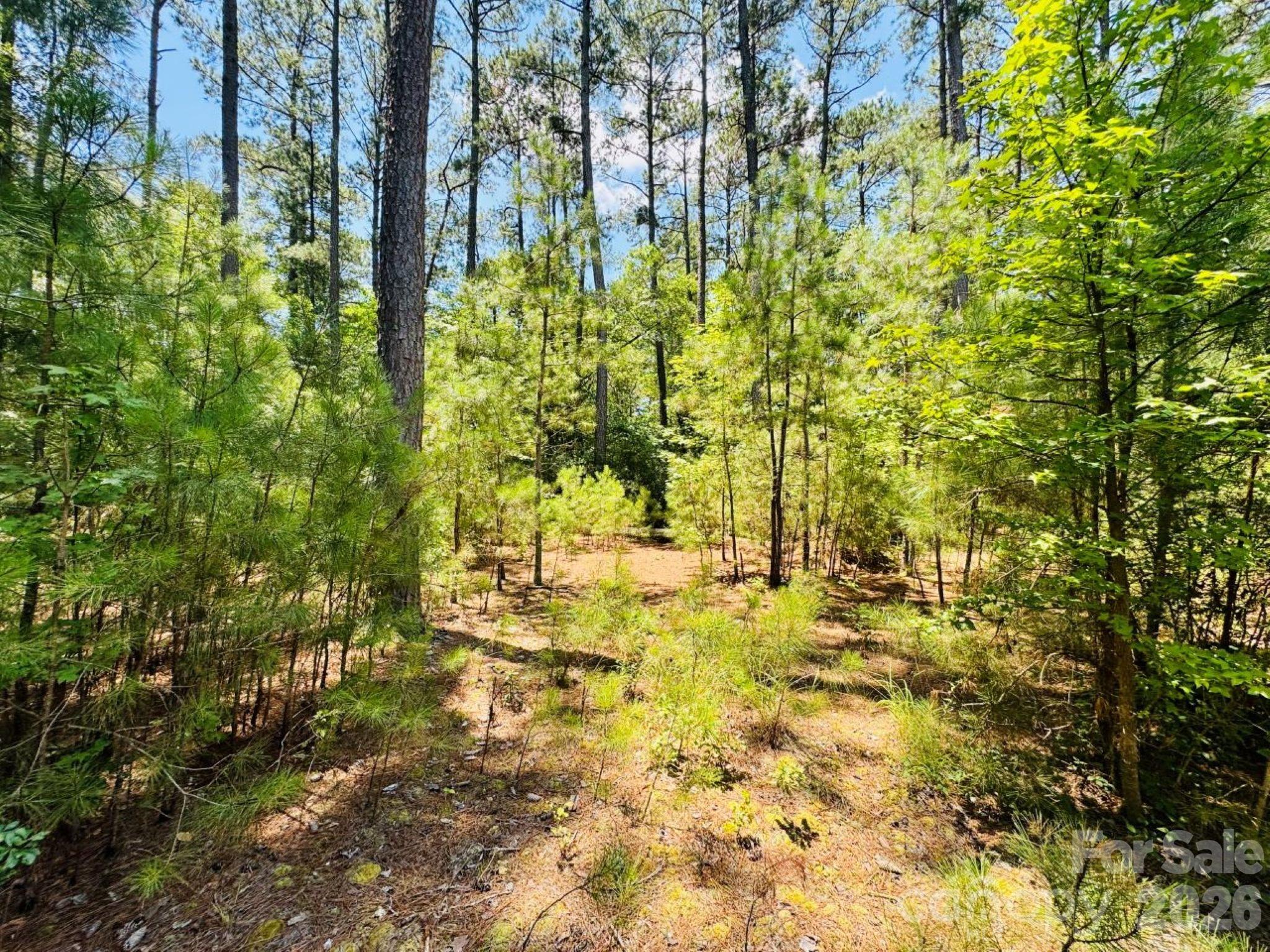 5326 Judson Road Property Photo 19