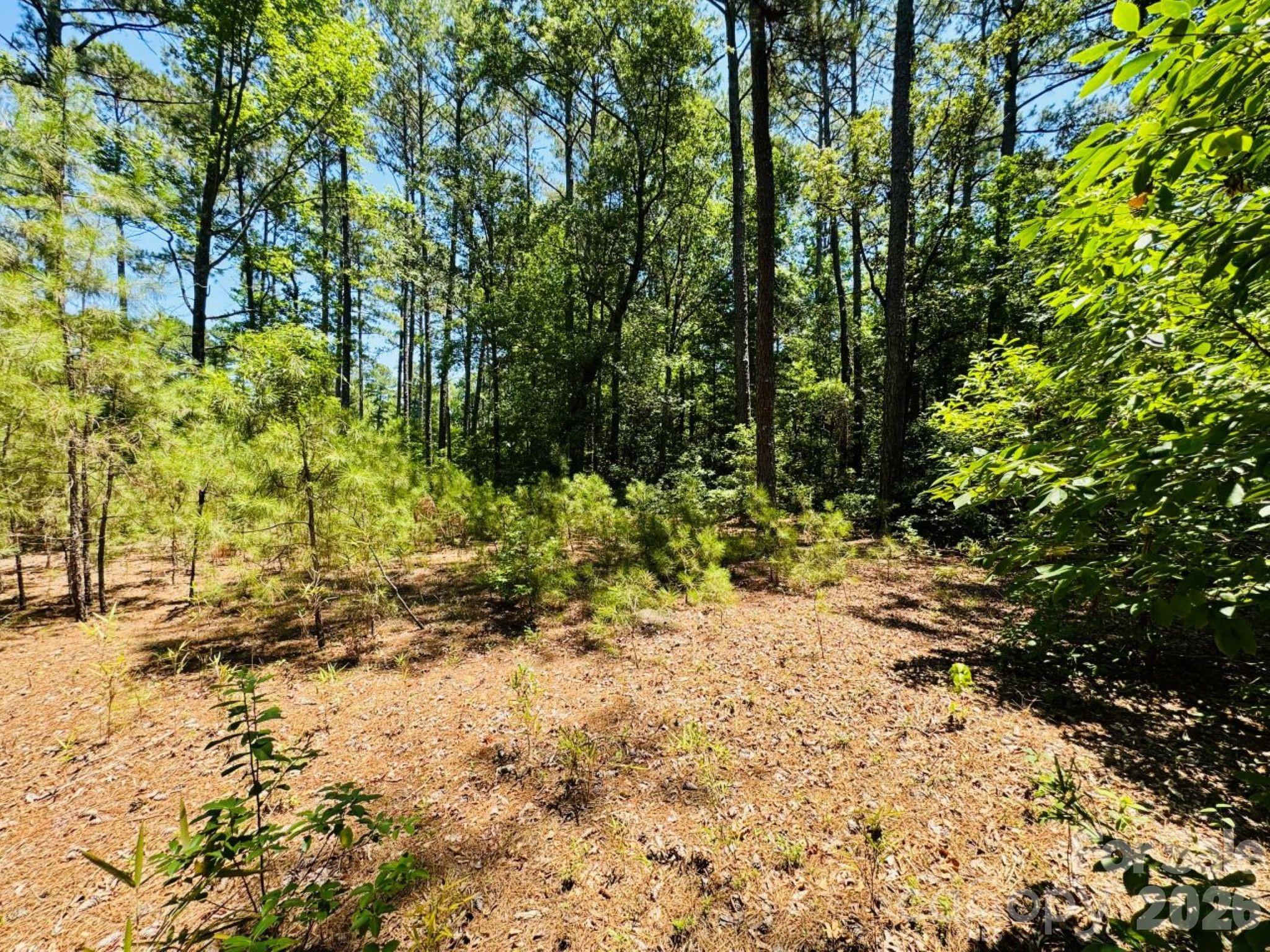 5326 Judson Road Property Photo 21