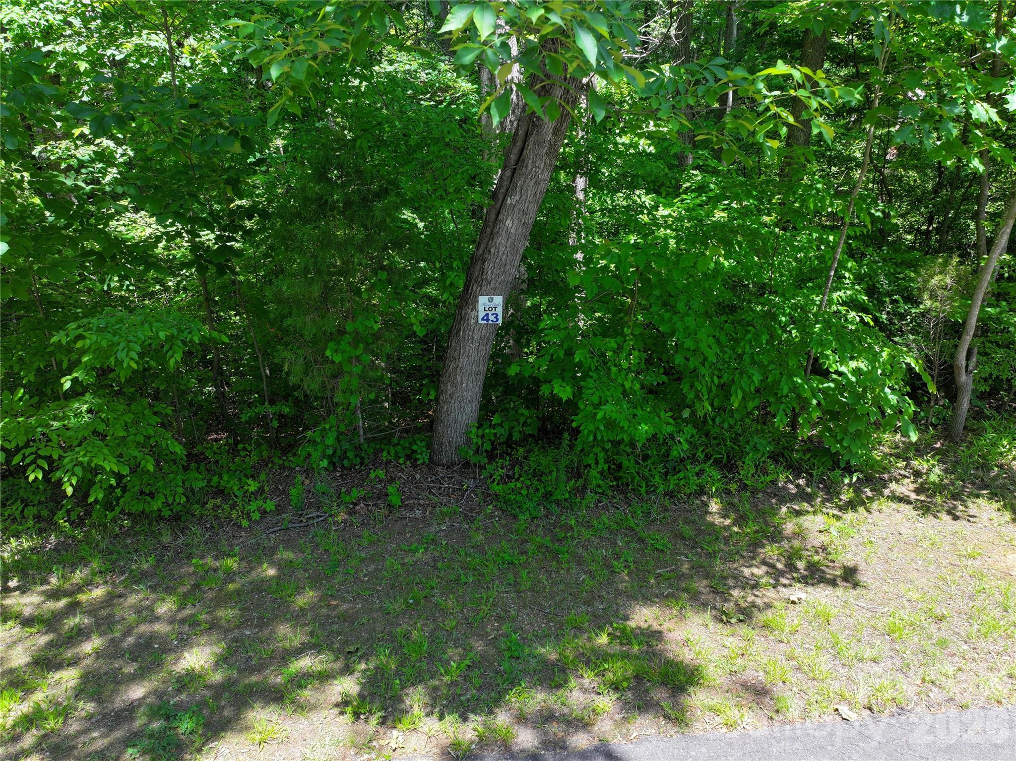 Tbd Broken Arrow Drive Property Photo 12