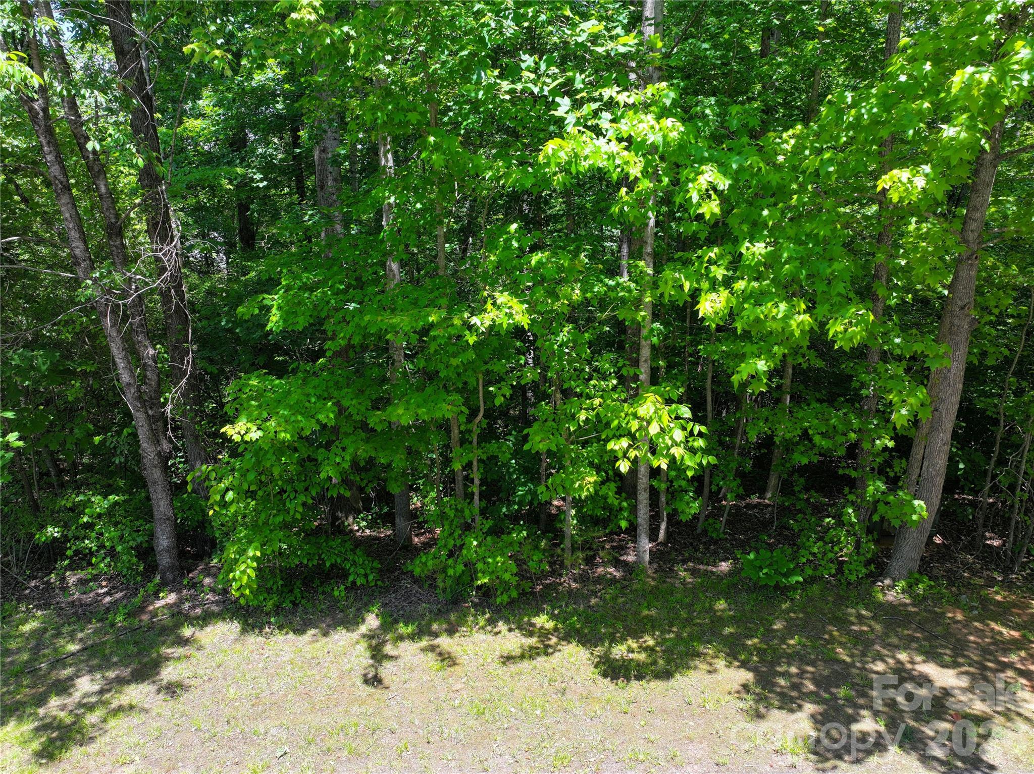 Tbd Broken Arrow Drive Property Photo 13