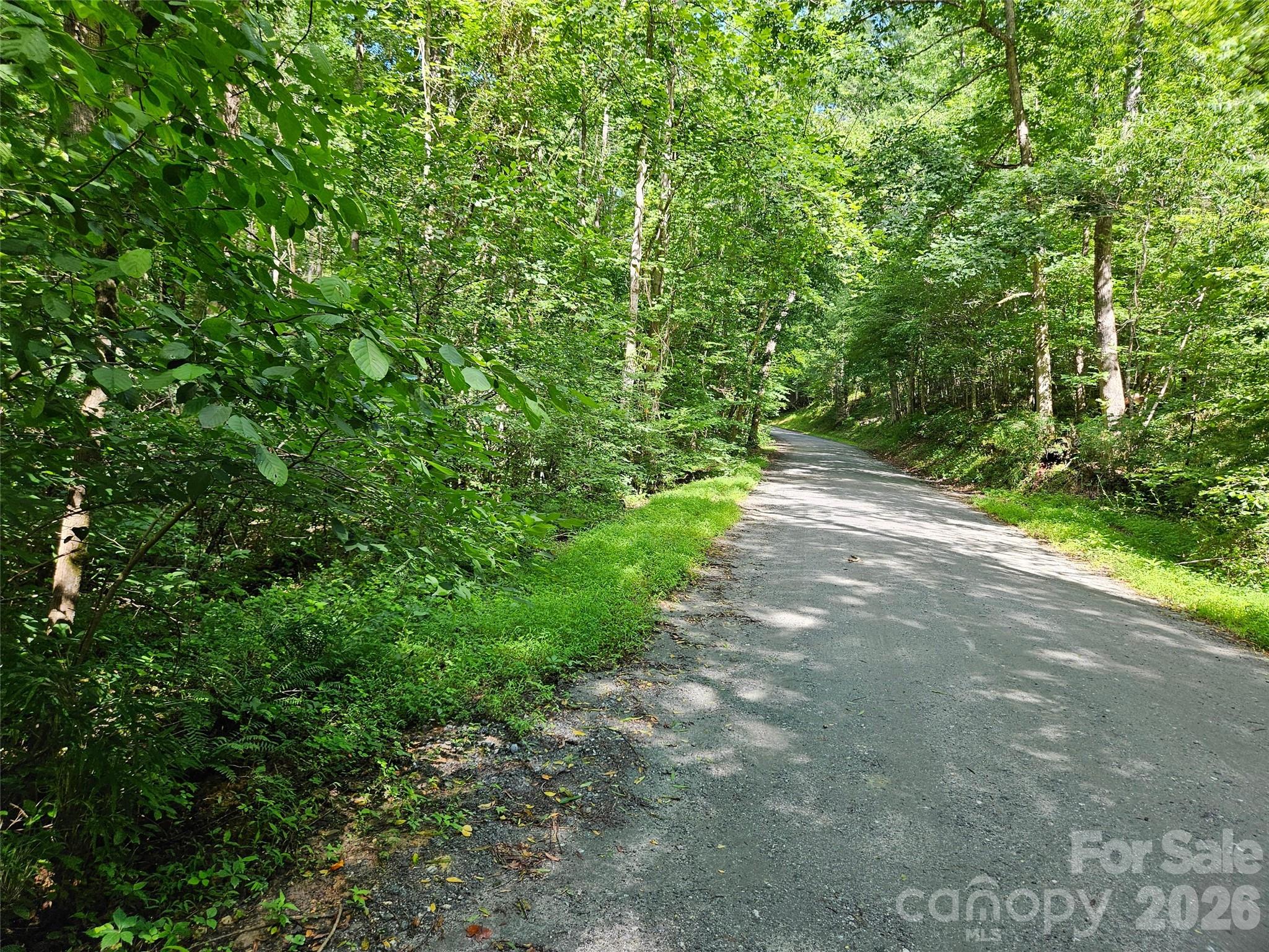 0 Sandpiper Avenue 163 Property Photo 1