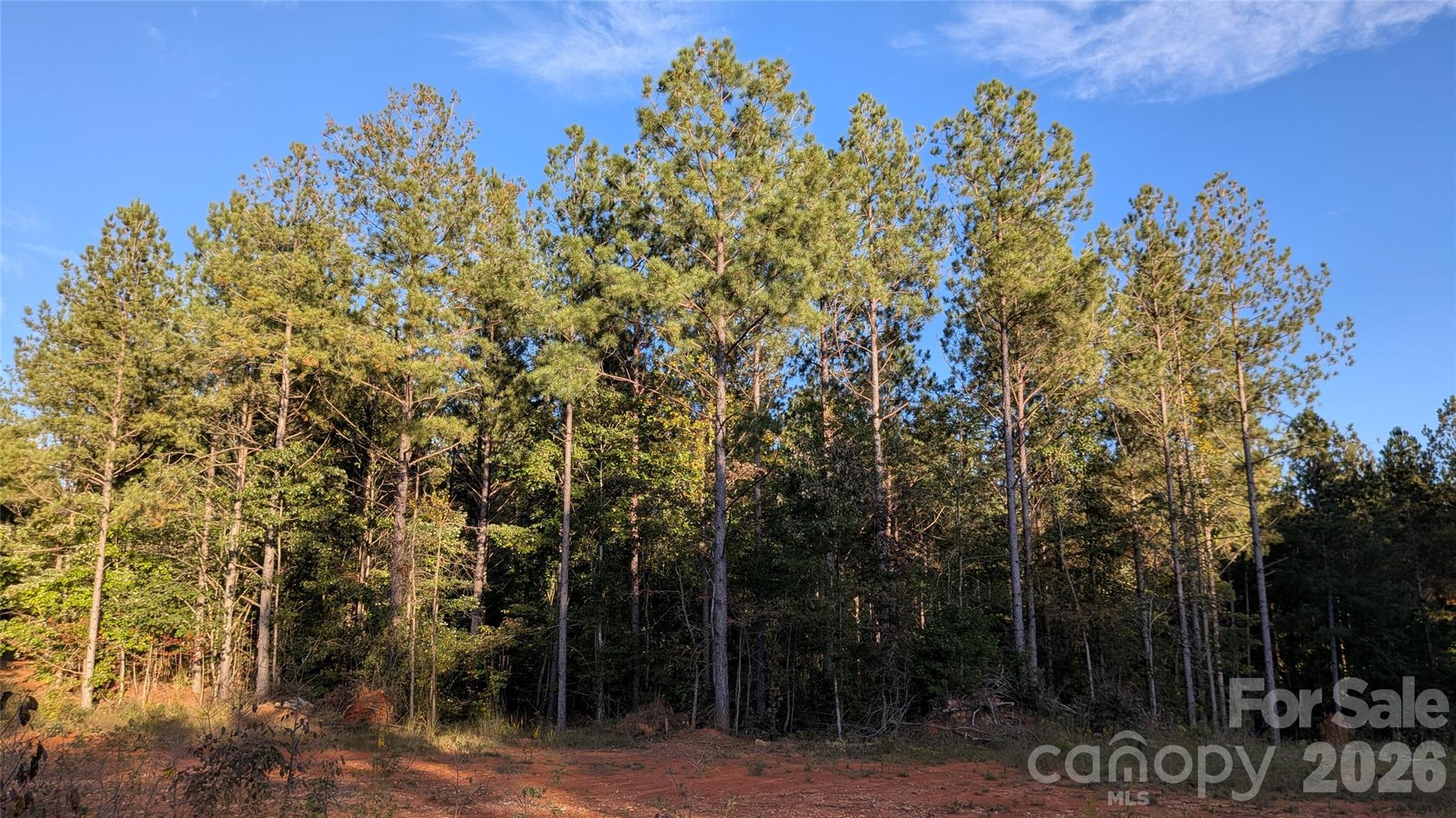 2939 NC Hwy 134 Highway