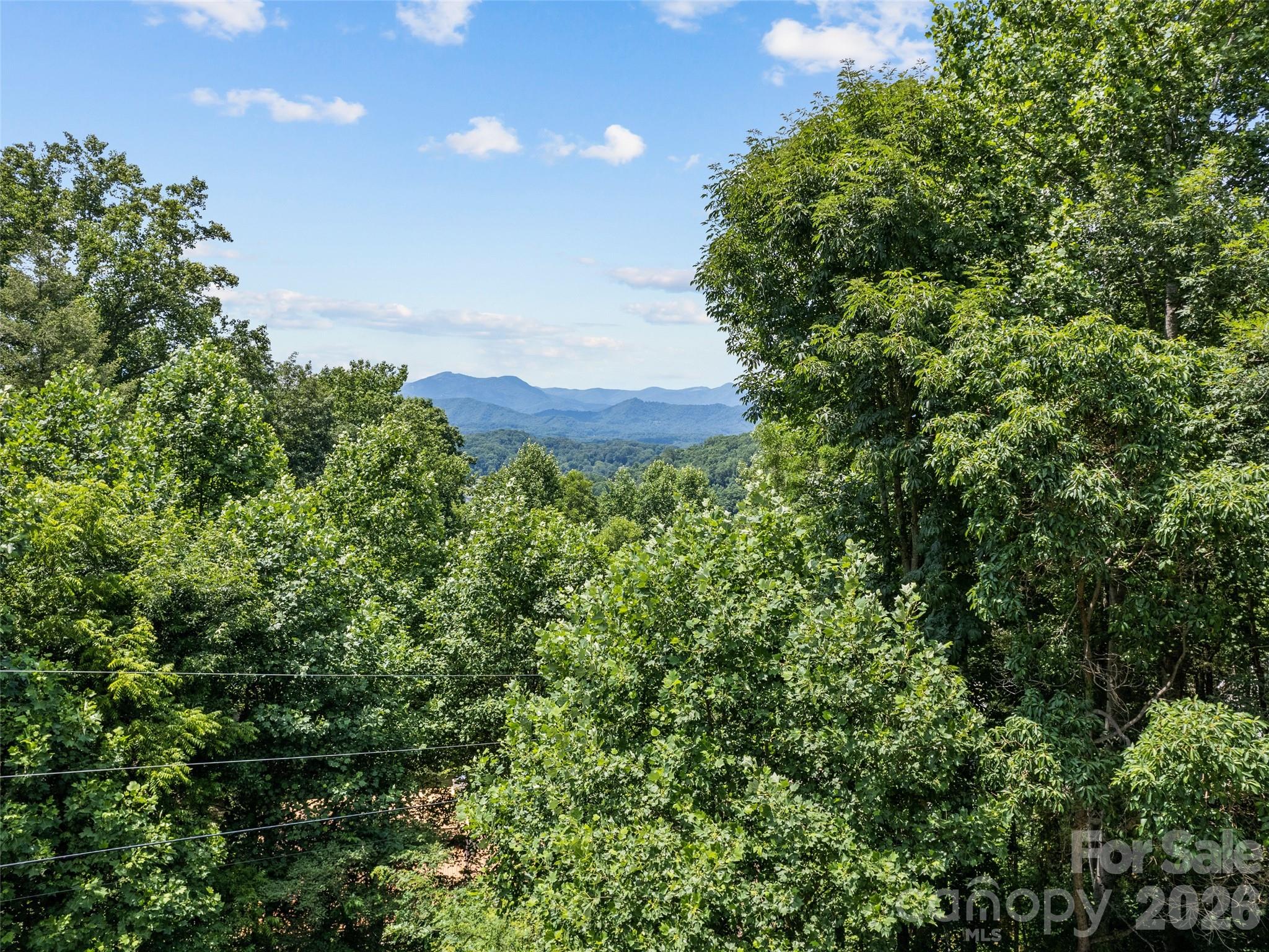 412 Gaddy Heights Property Photo 6