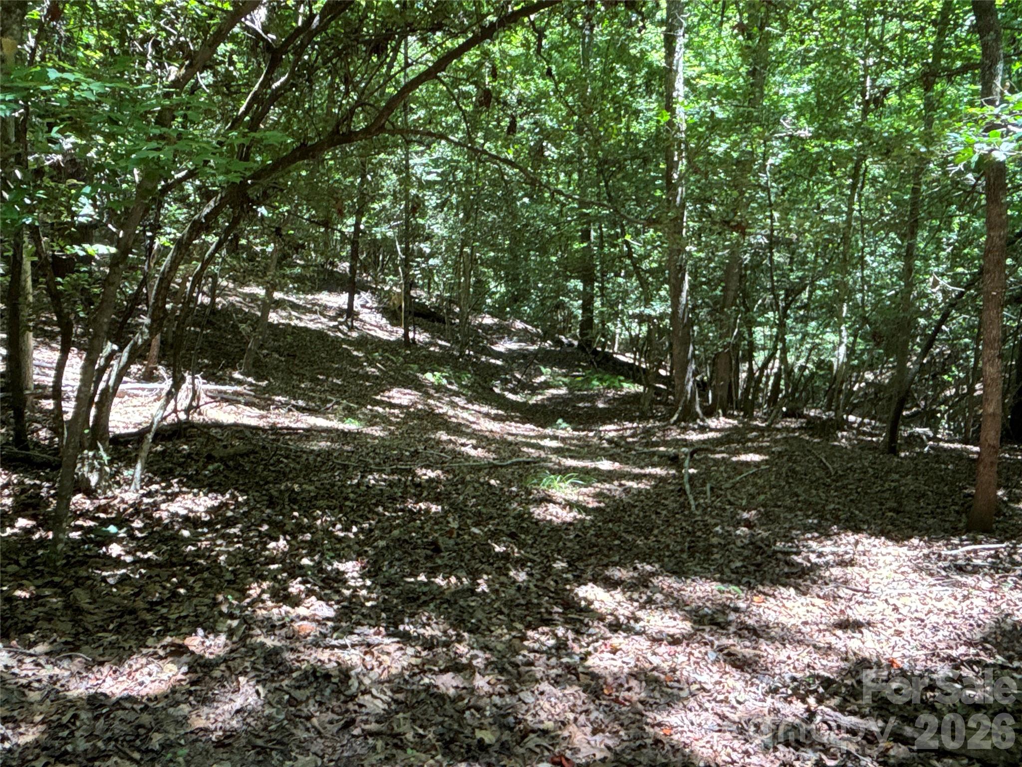 2006 Piedmont Road Property Photo 5