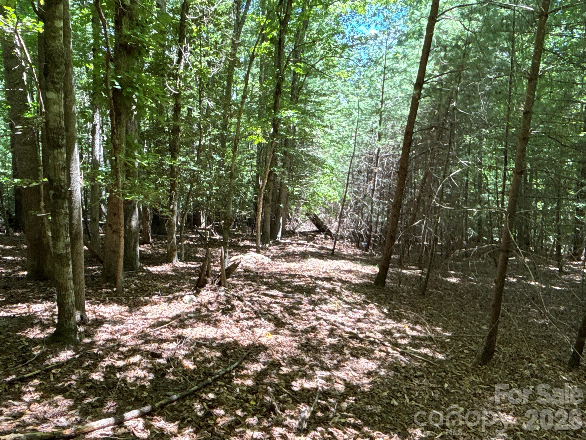2006 Piedmont Road Property Photo 10