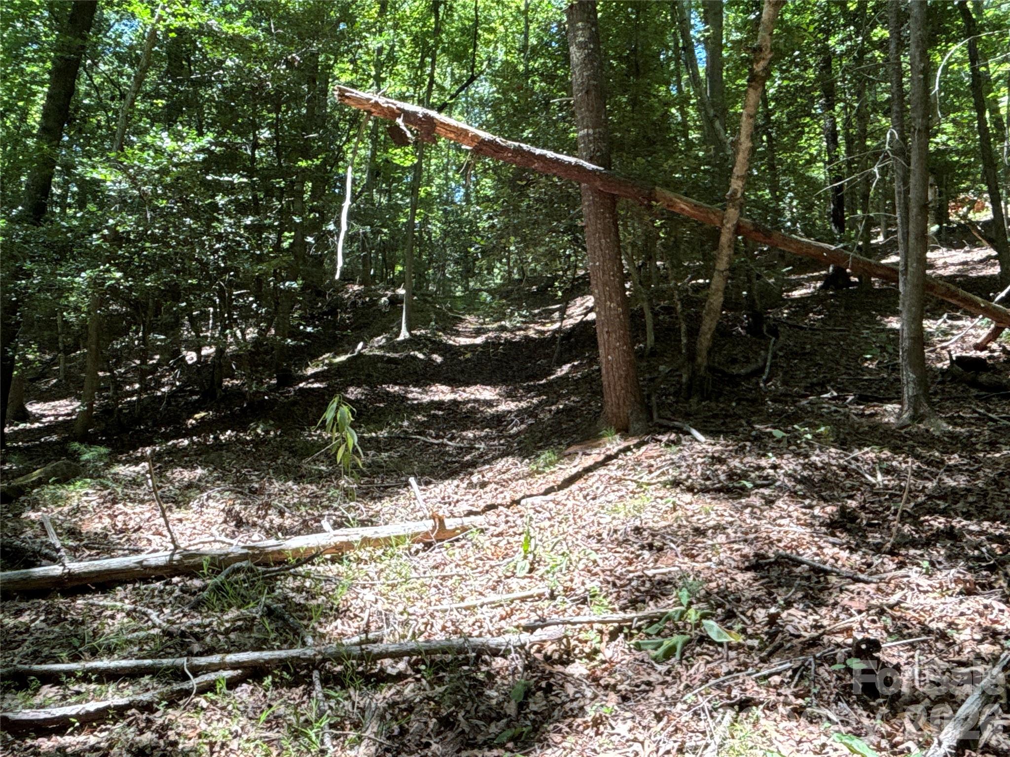 2006 Piedmont Road Property Photo 11