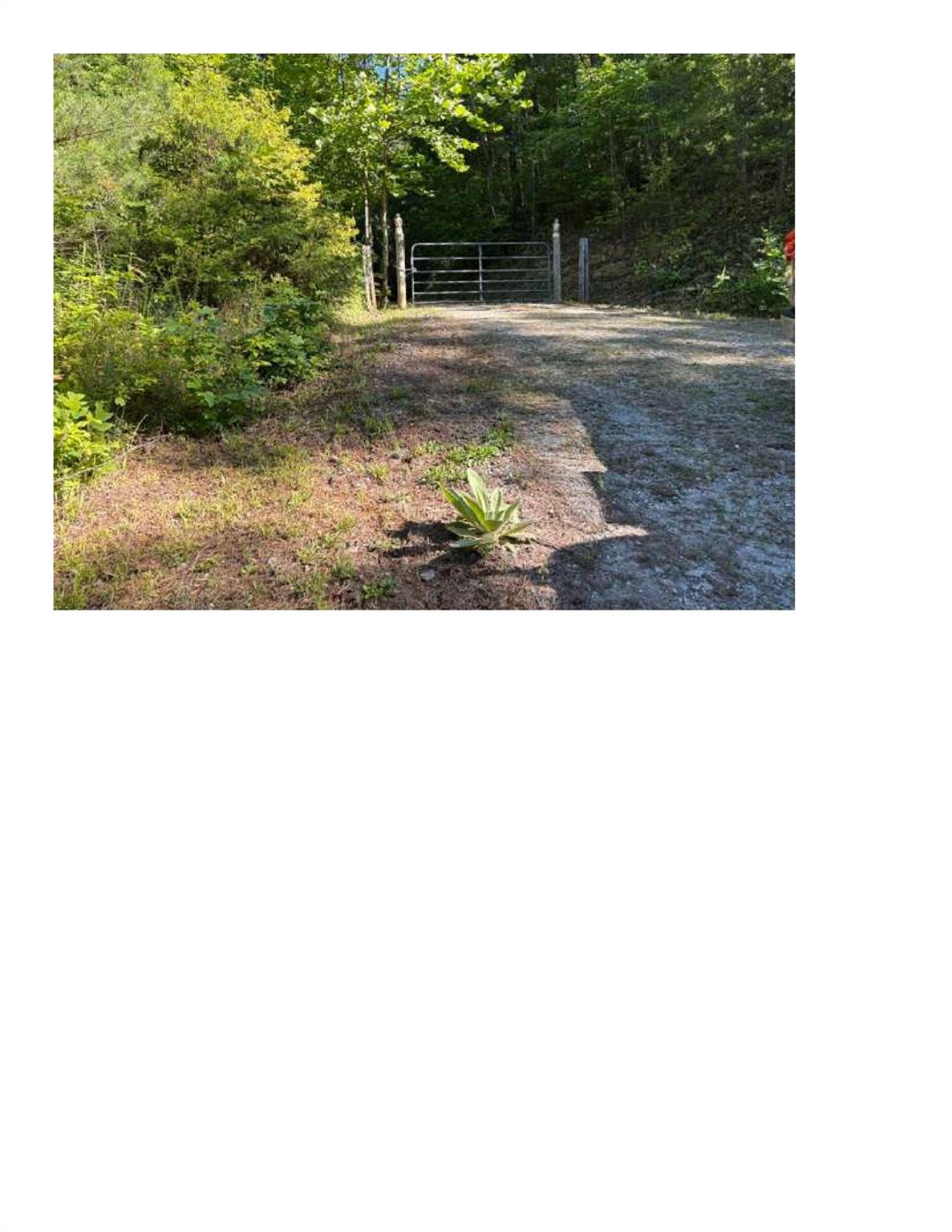 5314 Daisy Place Property Photo 14