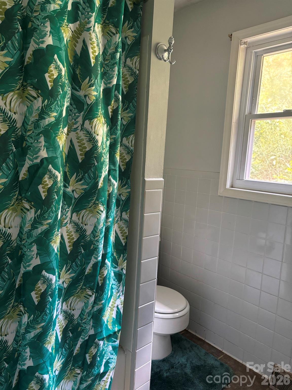 637 Toe Cane Road Property Photo 10