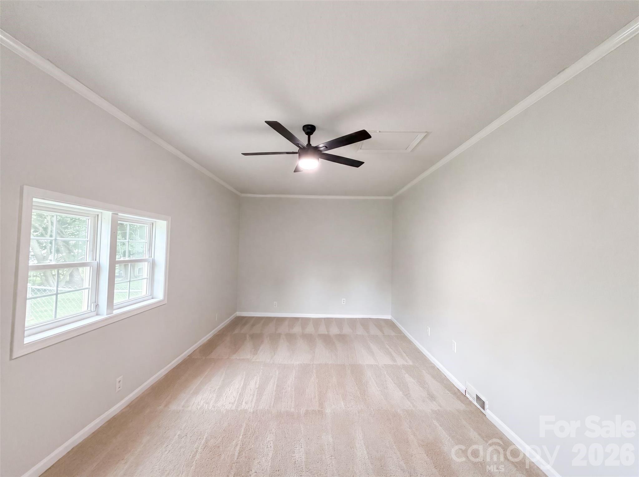 507 Texas Trail Property Photo 4