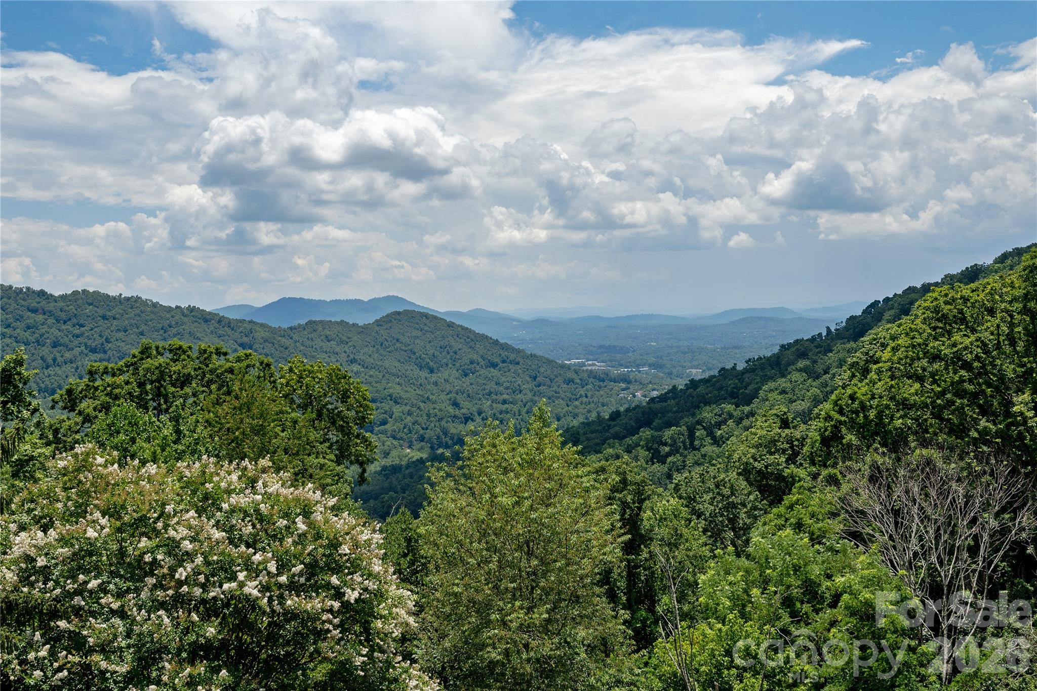 811 Town Mountain Road Property Photo 2