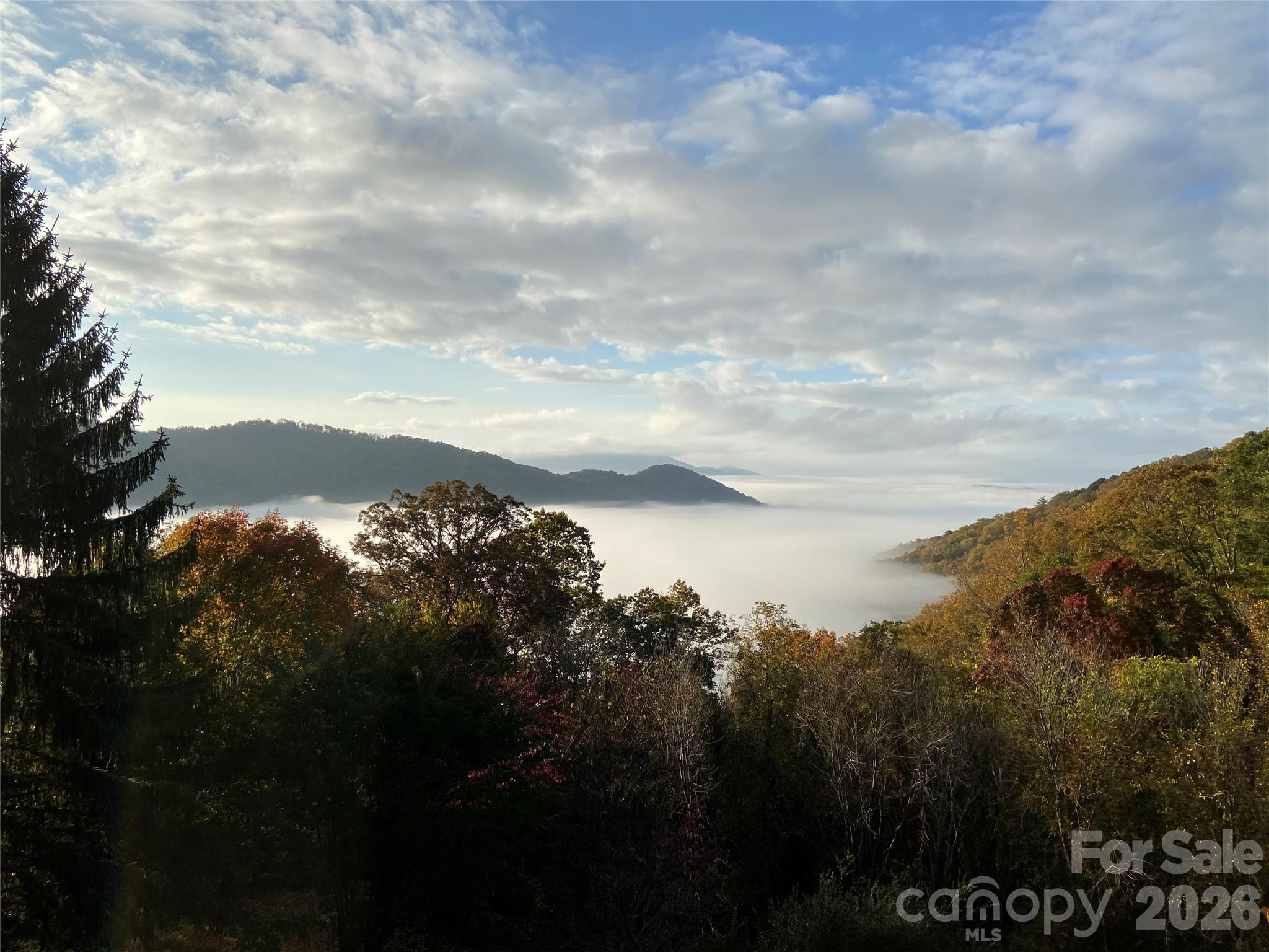 811 Town Mountain Road Property Photo 3