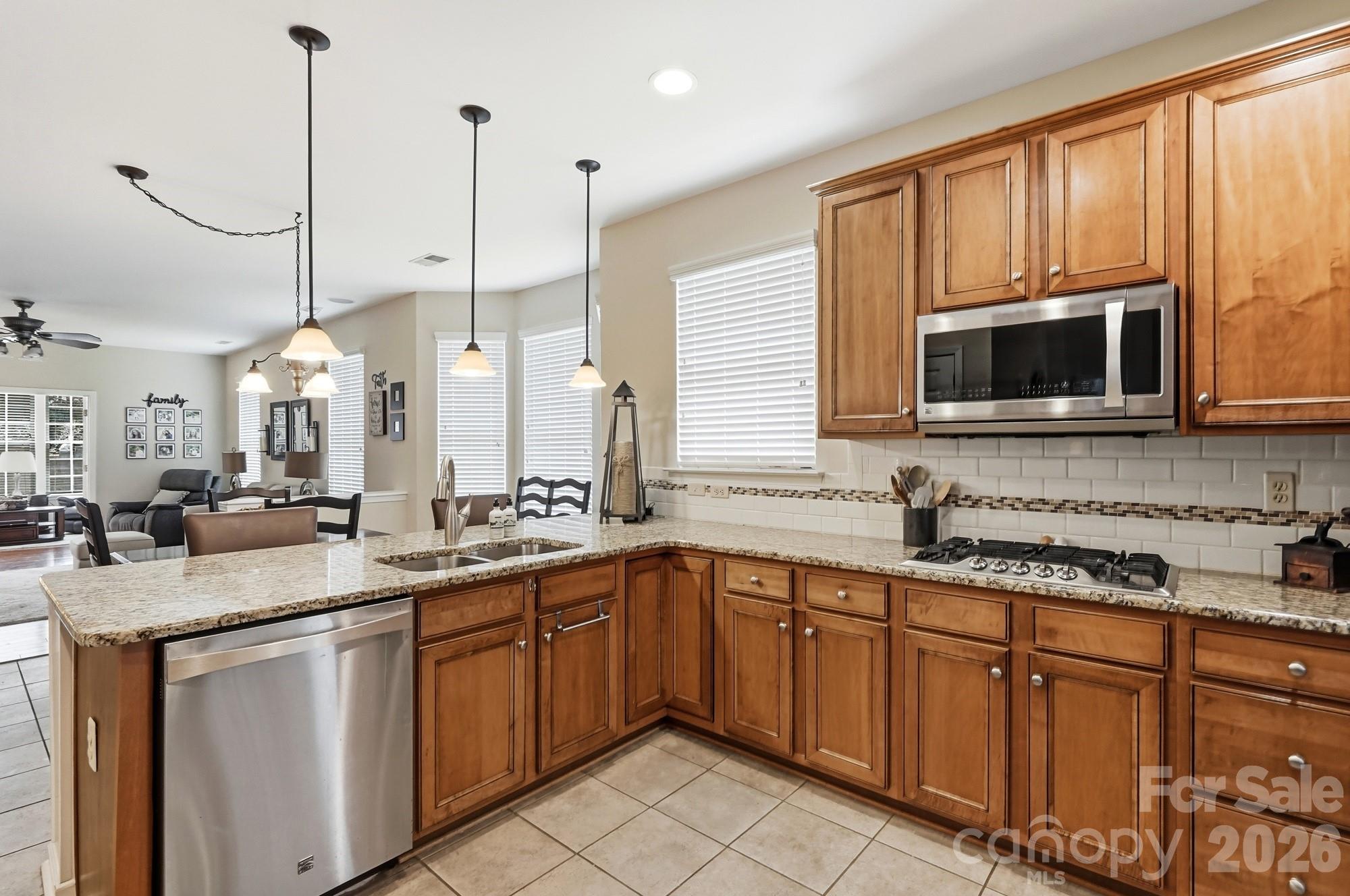 970 Platinum Drive Property Photo 13