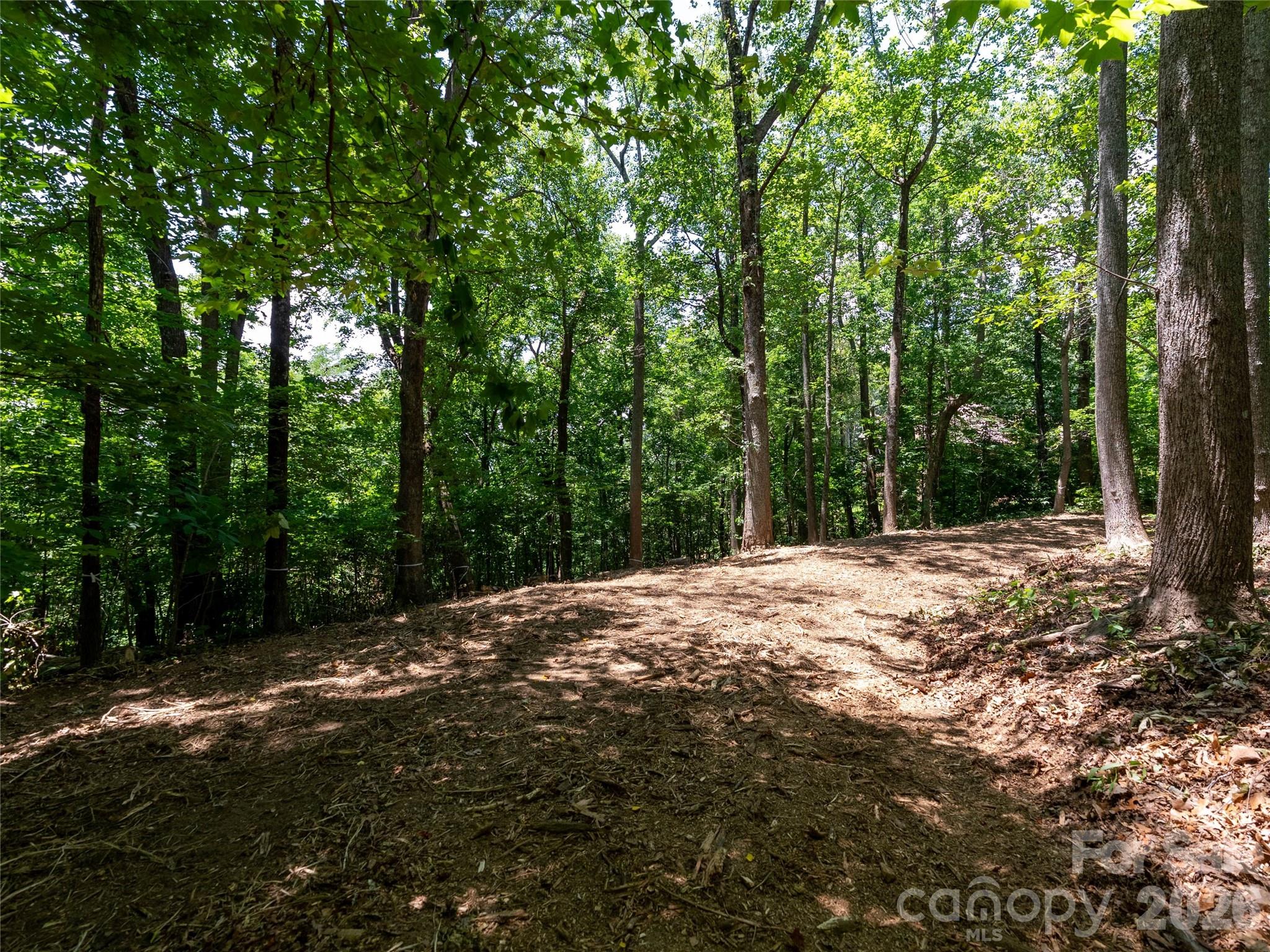 Lot 22 Plumley Summit Road 22 Property Photo 16