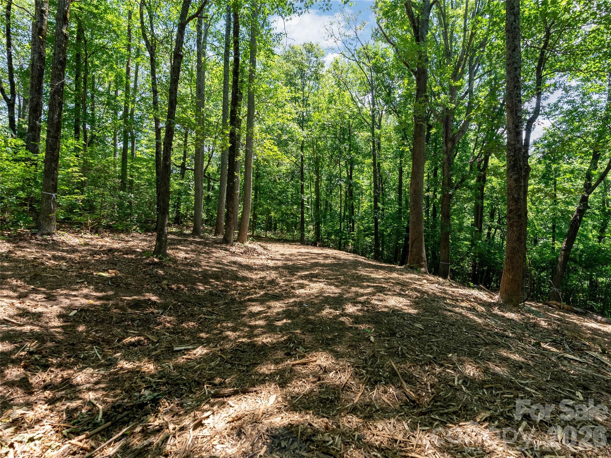 Lot 22 Plumley Summit Road 22 Property Photo 18