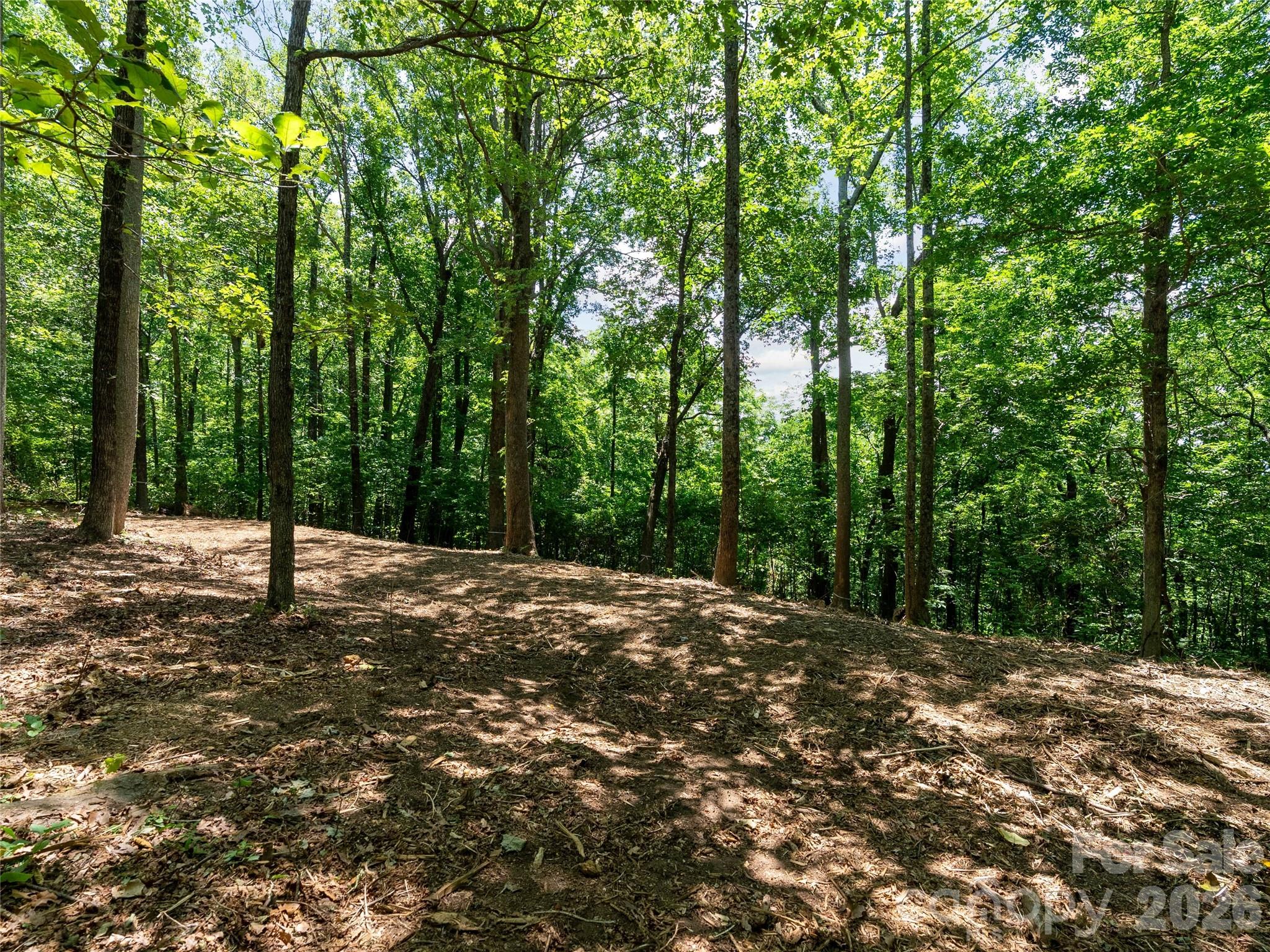 Lot 22 Plumley Summit Road 22 Property Photo 19