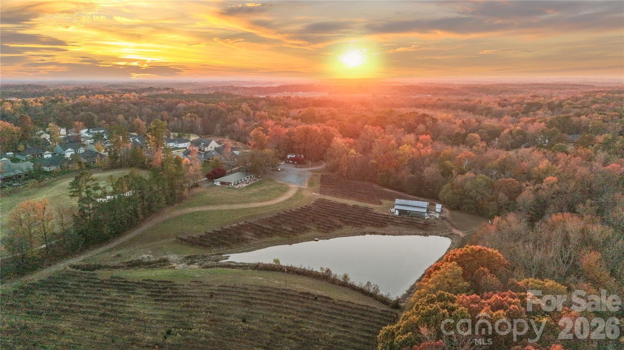 11685 Reed Mine Road Property Photo 2