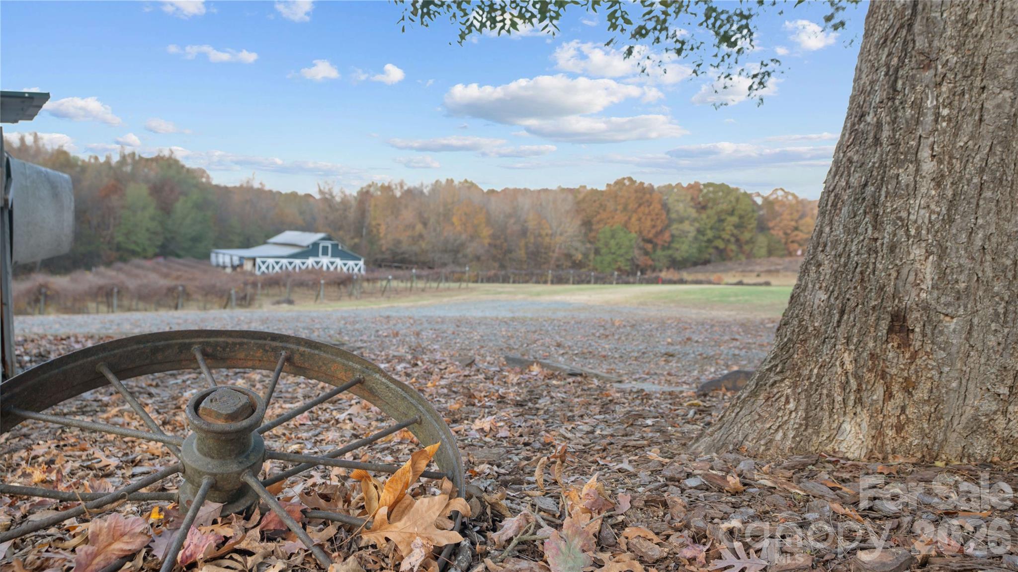 11685 Reed Mine Road Property Photo 3