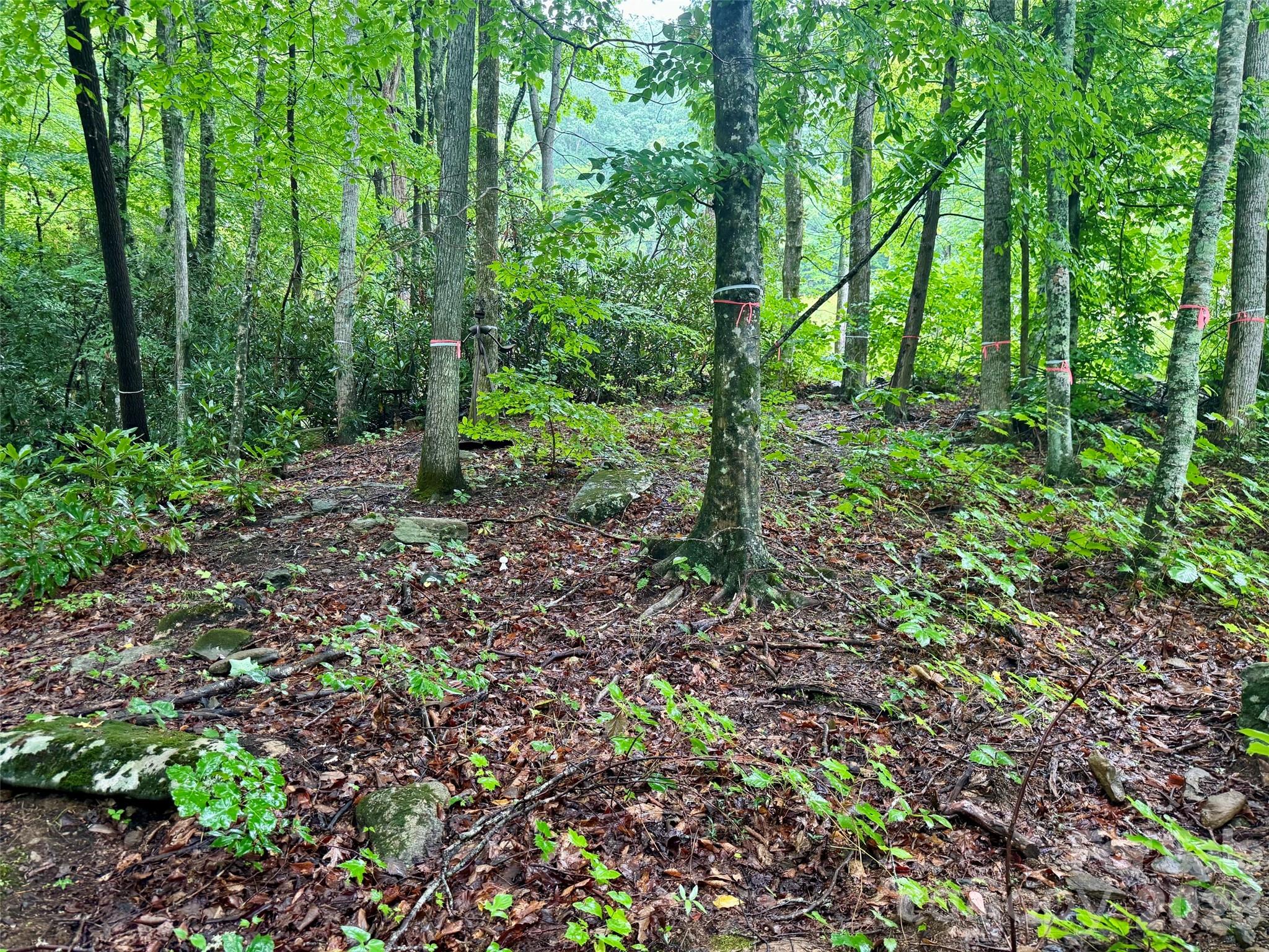 1230 Arborcrest Way Property Photo 6