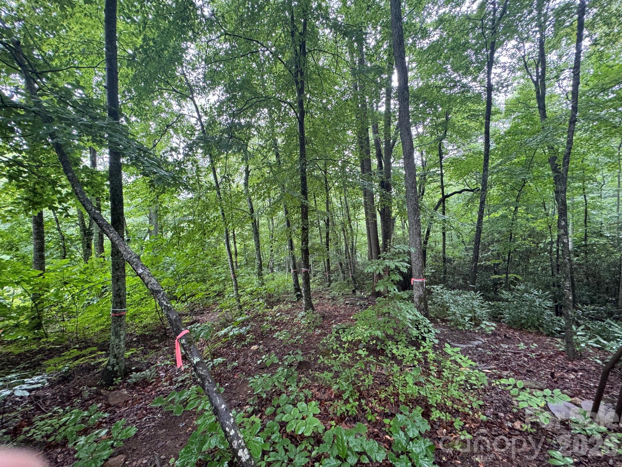 1230 Arborcrest Way Property Photo 7
