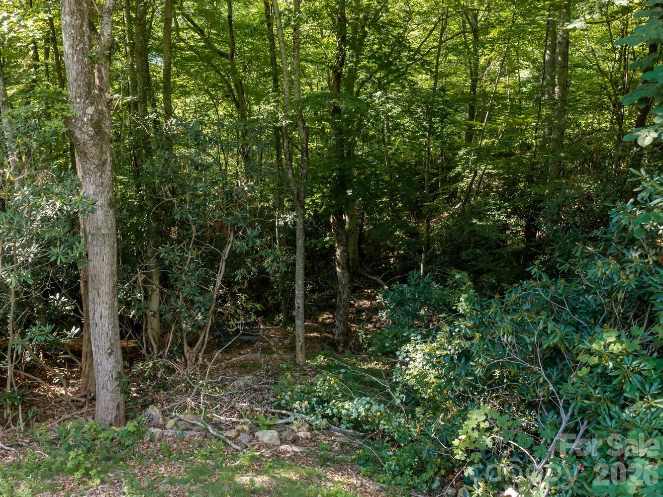 1230 Arborcrest Way Property Photo 17