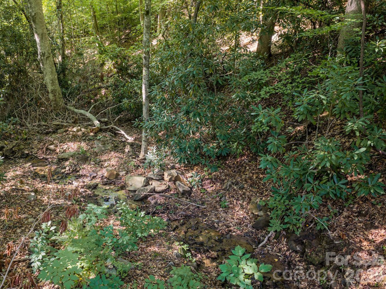 1230 Arborcrest Way Property Photo 19
