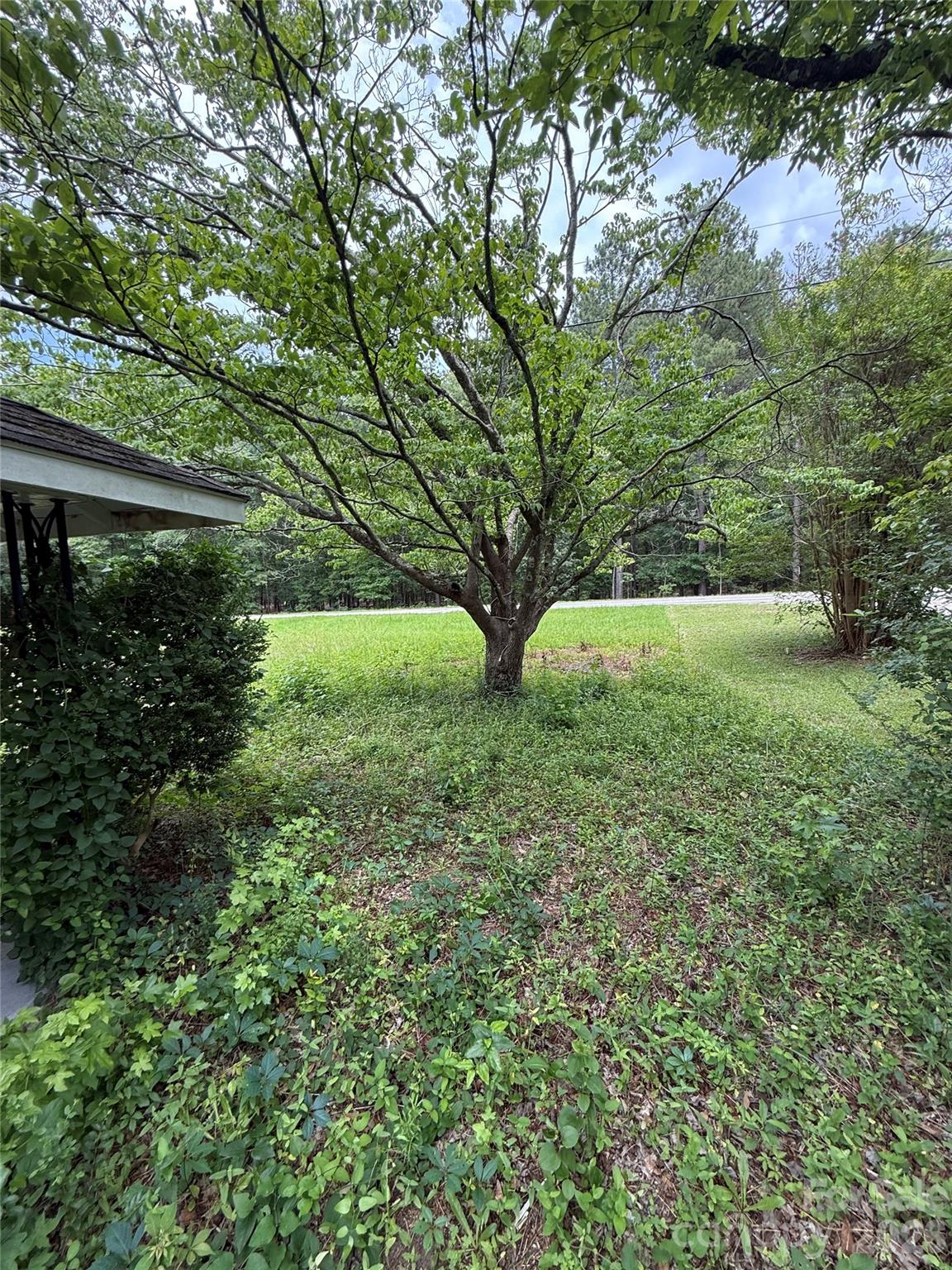 6542 Highway 341 Highway Property Photo 14