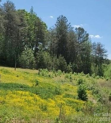 2195 Otis Dellinger Road Property Photo 2