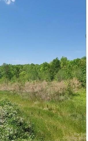 2195 Otis Dellinger Road Property Photo 8