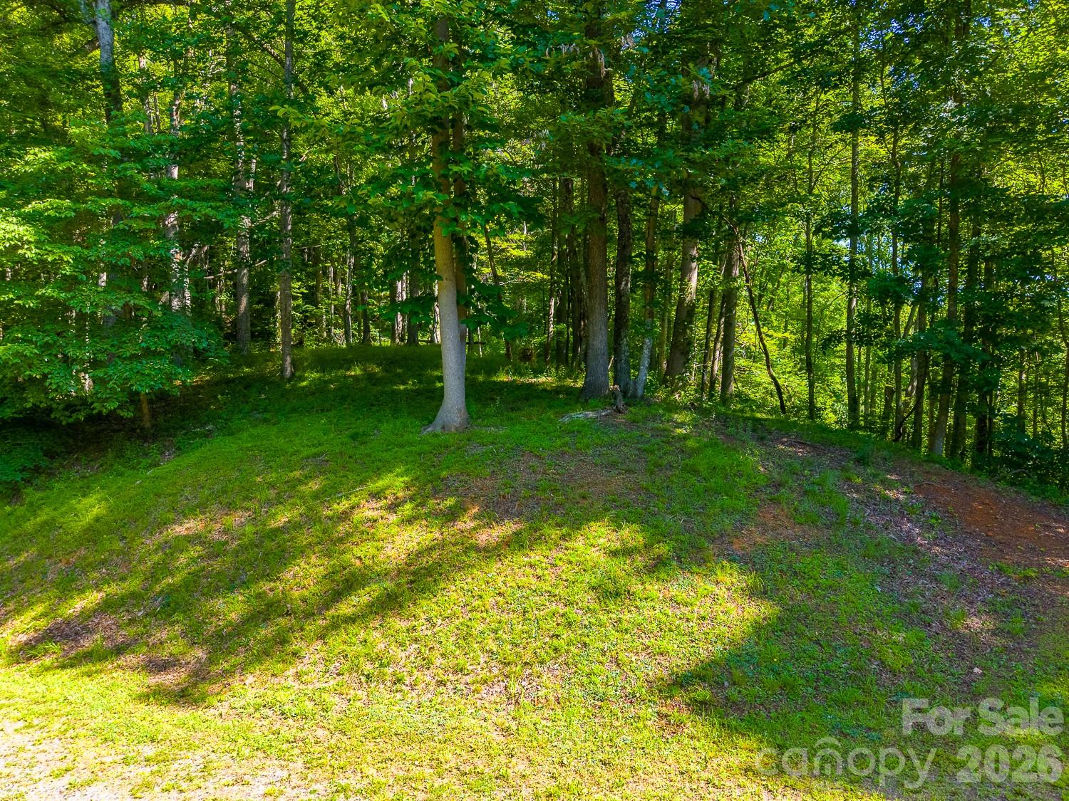 2916 Blanton Branch Road Property Photo 41