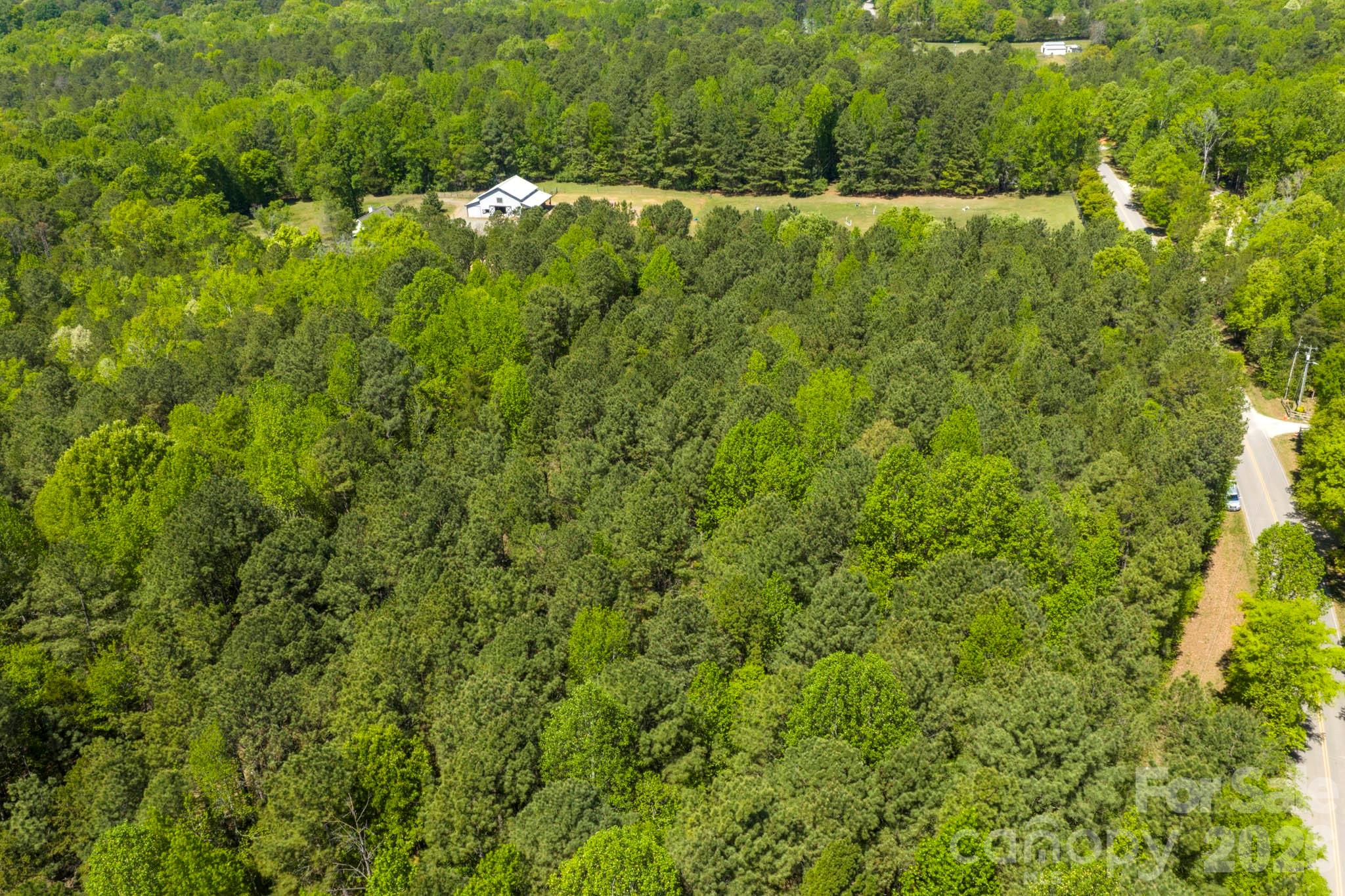 8320 Waxhaw Creek Road Property Photo 8