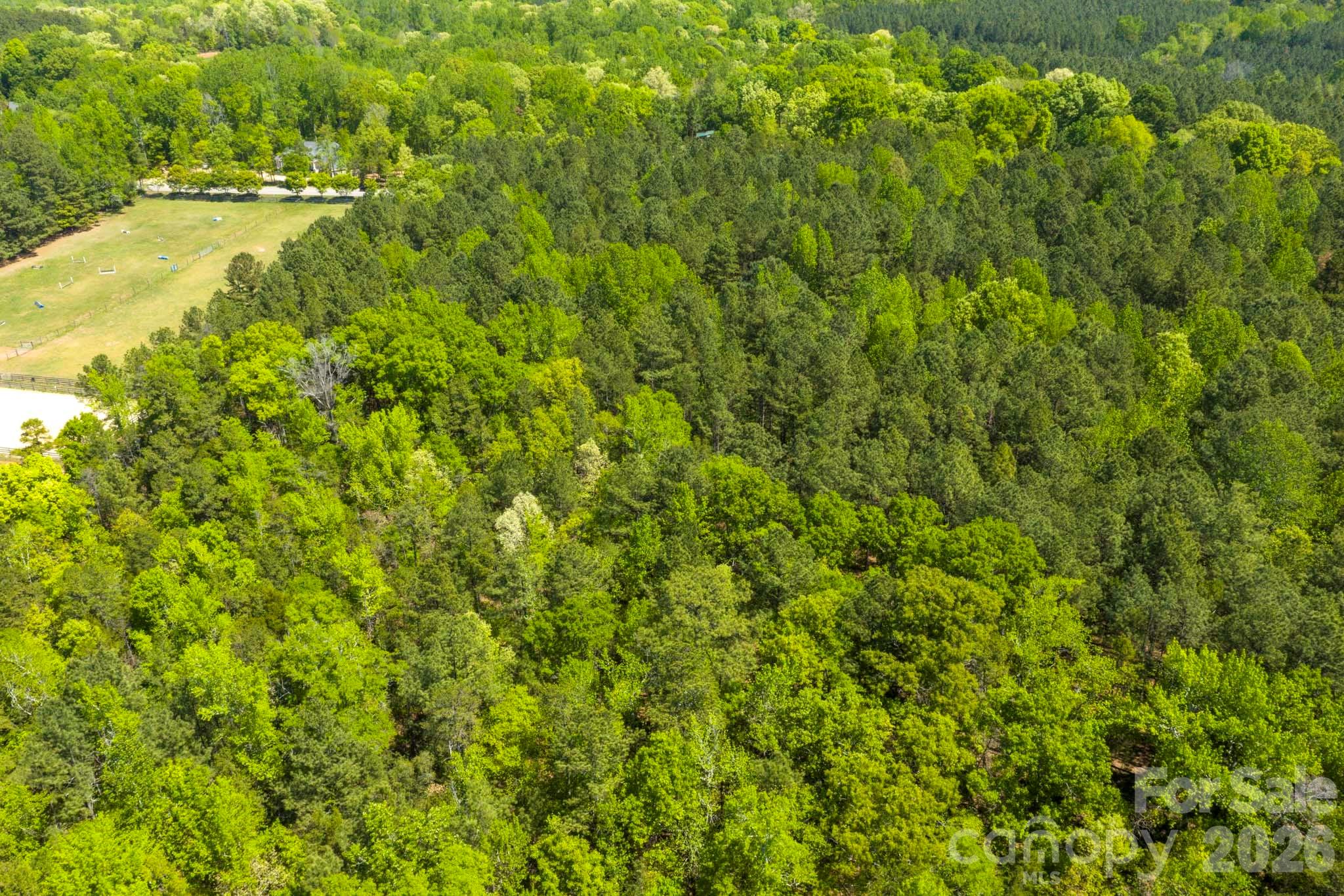 8320 Waxhaw Creek Road Property Photo 10