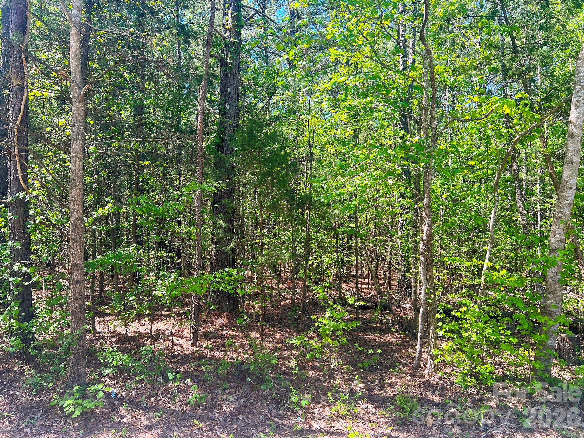 8320 Waxhaw Creek Road Property Photo 15