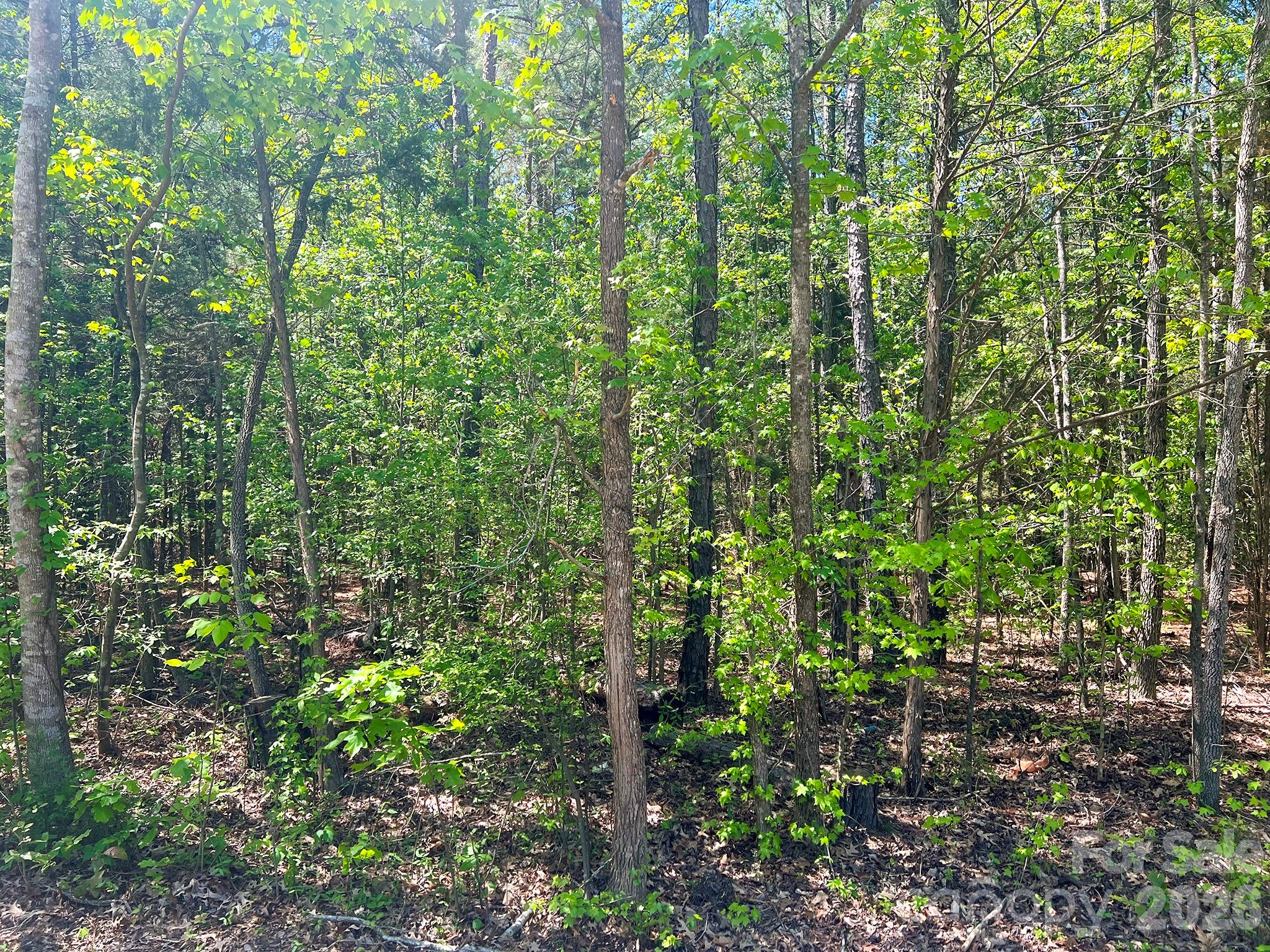 8320 Waxhaw Creek Road Property Photo 16